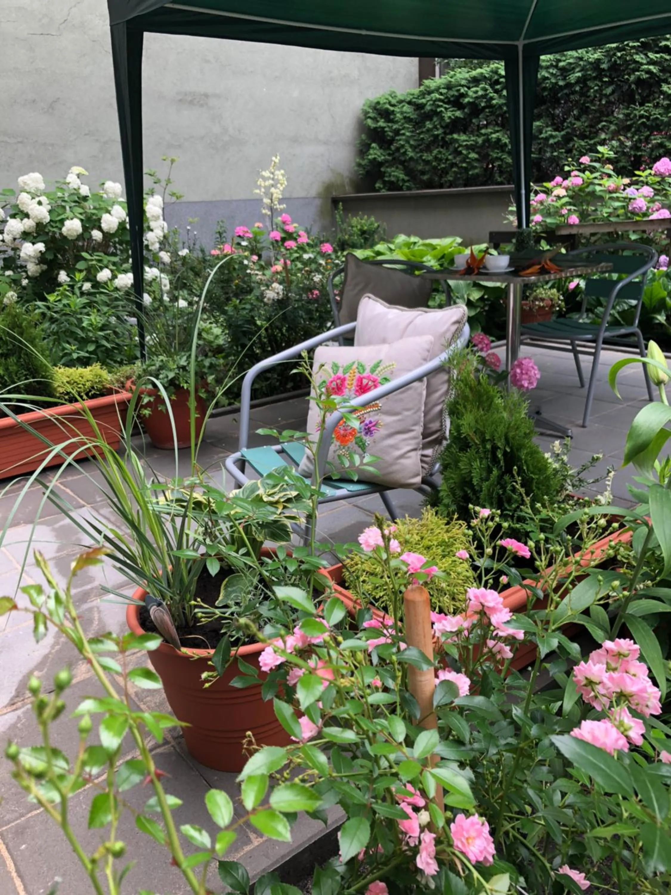 Garden in AVANTI Home