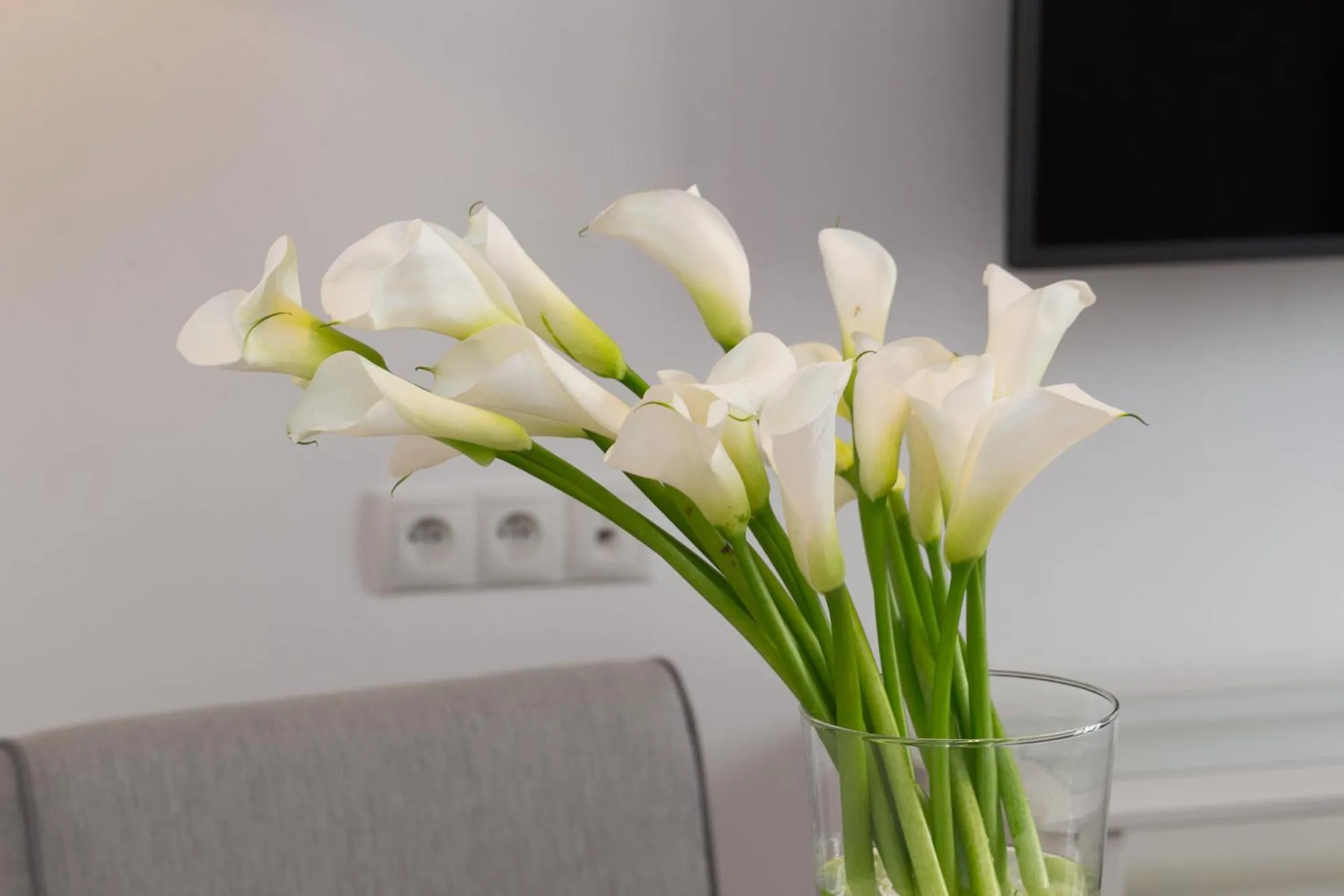 Decorative detail in AVANTI Home