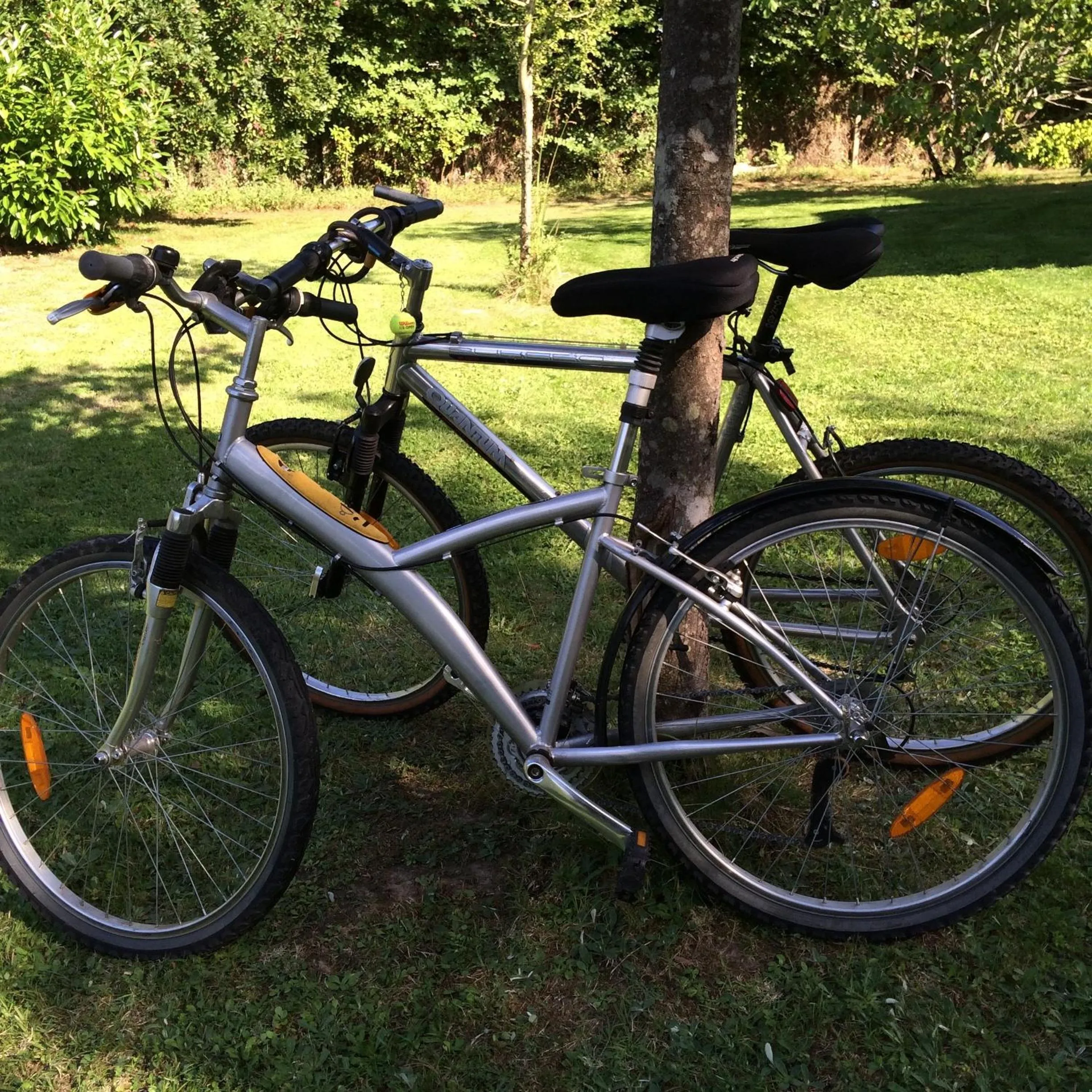 Cycling in B&B La Closerie 33