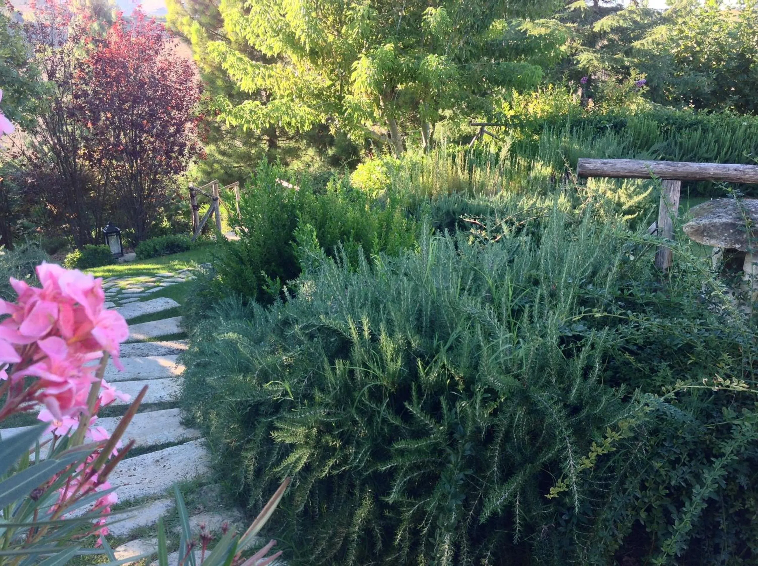 Garden in Monterosato Country House