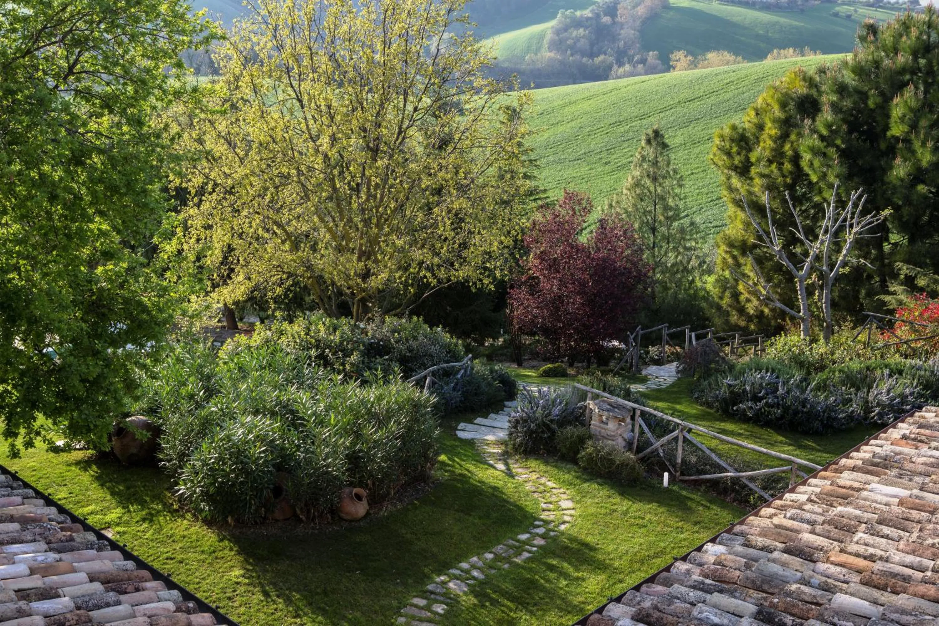 View (from property/room) in Monterosato Country House
