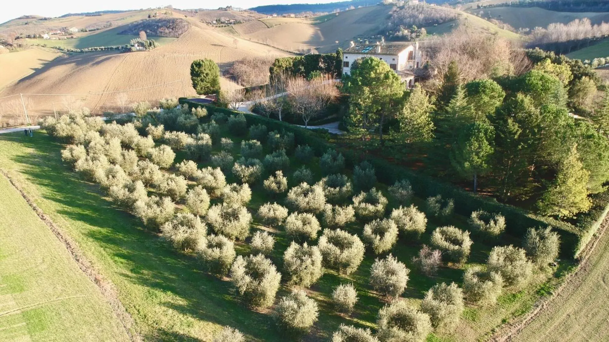 Bird's eye view in Monterosato Country House