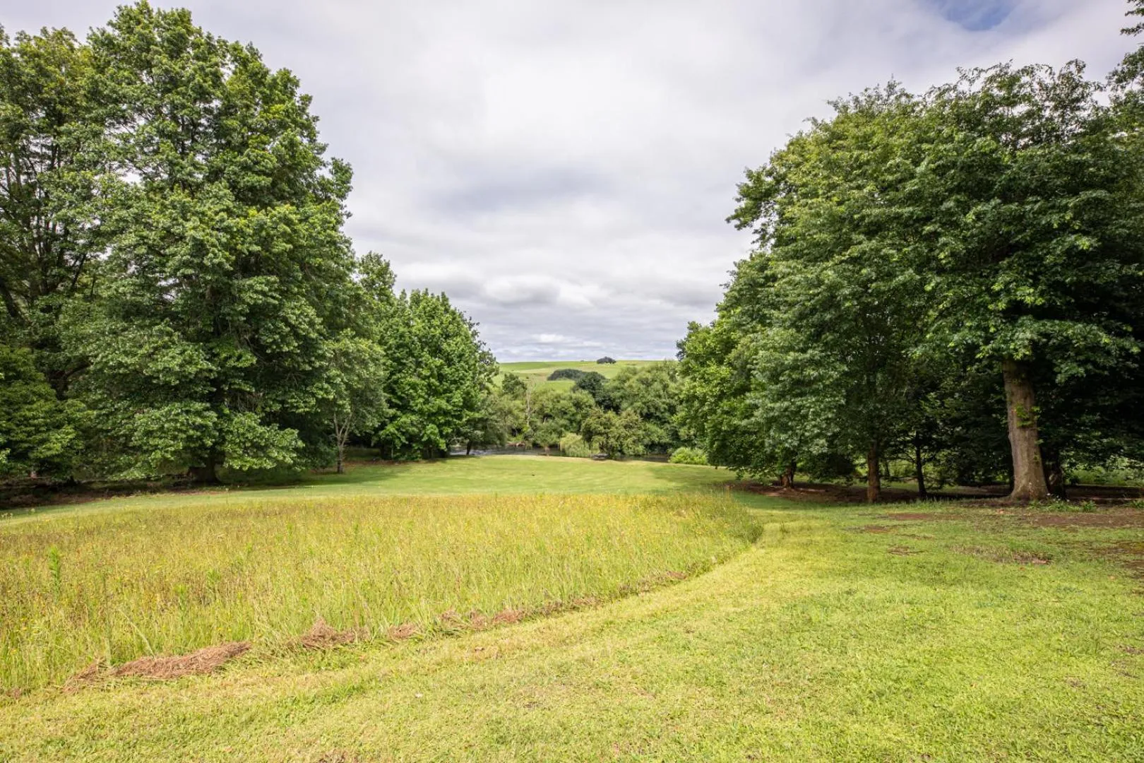 Natural landscape in Waterford Manor