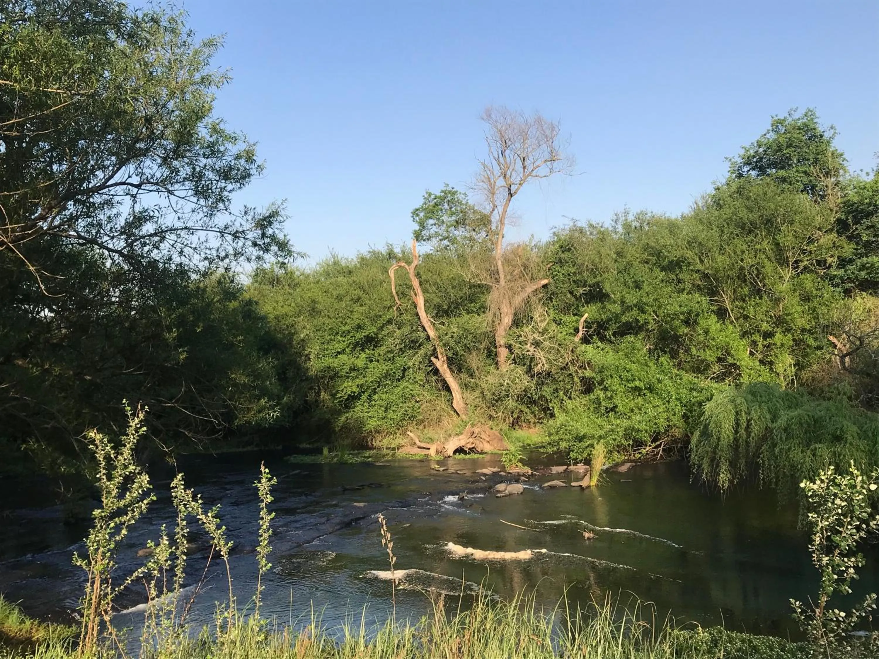 Natural landscape in Waterford Manor