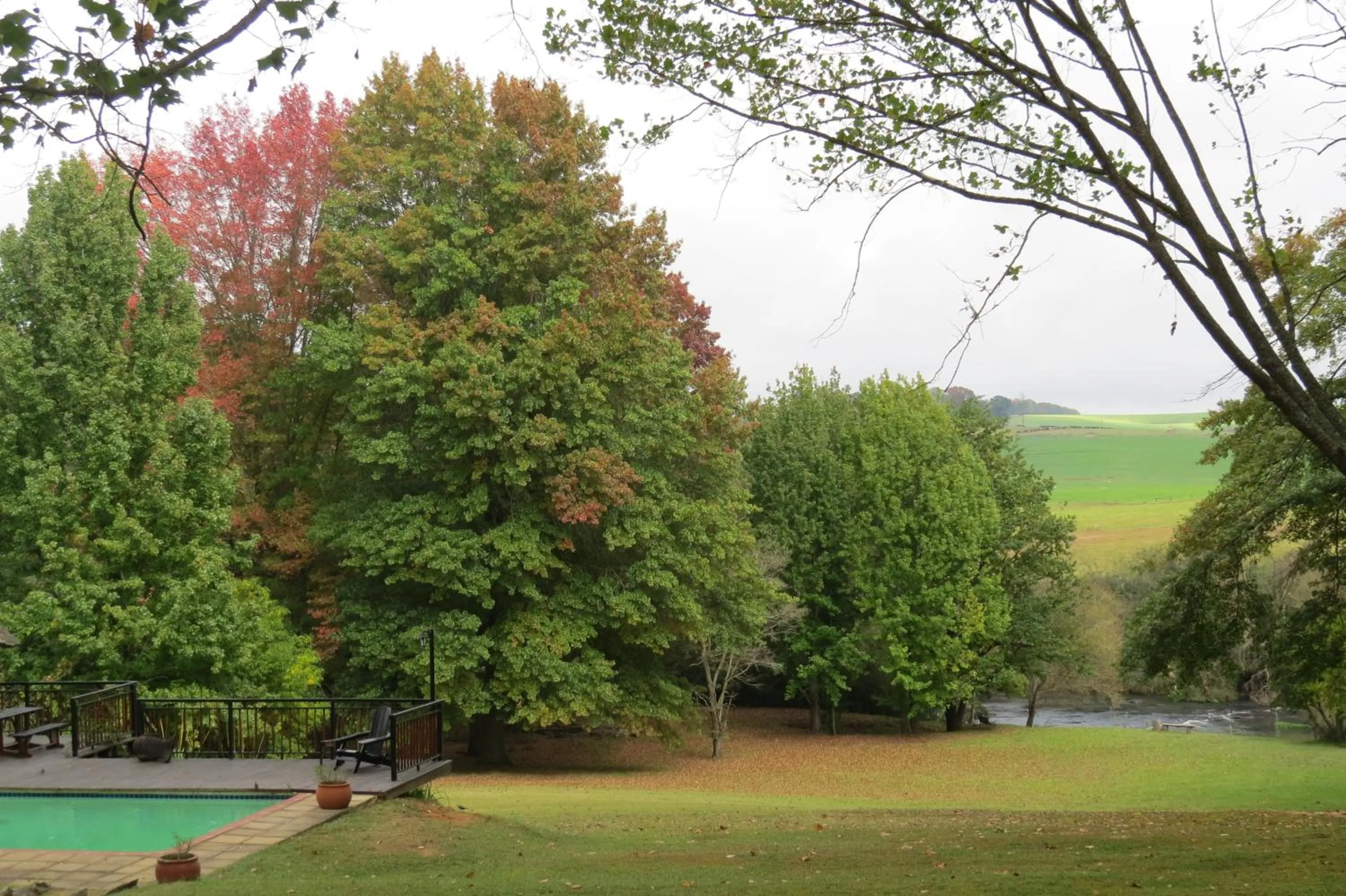 Garden in Waterford Manor