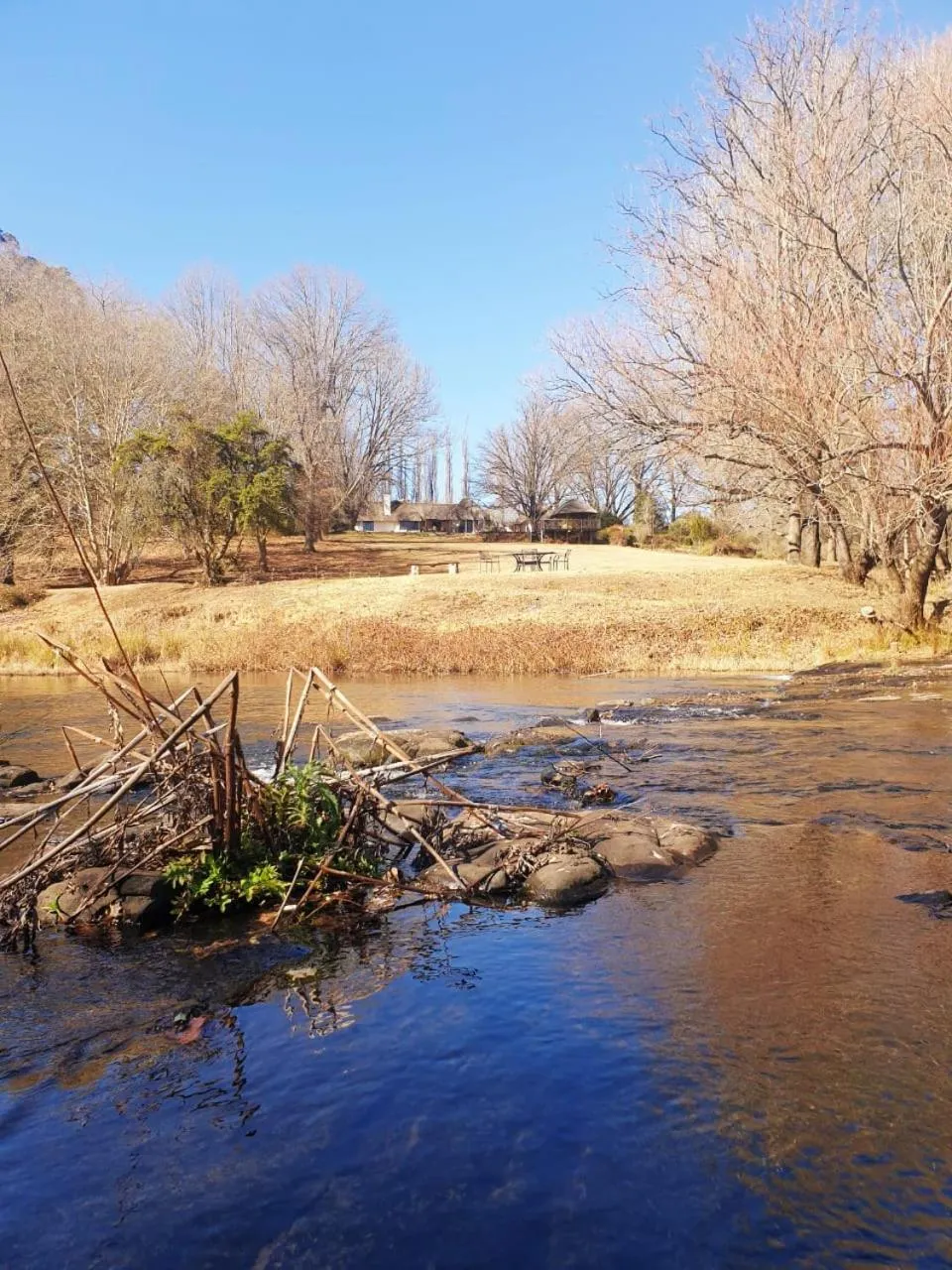 Natural landscape in Waterford Manor