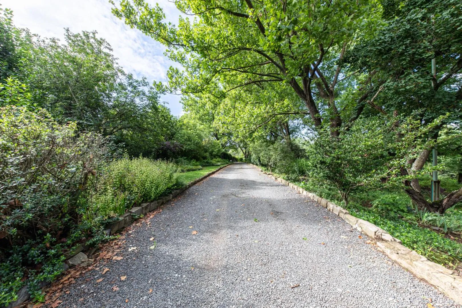 Natural landscape in Waterford Manor