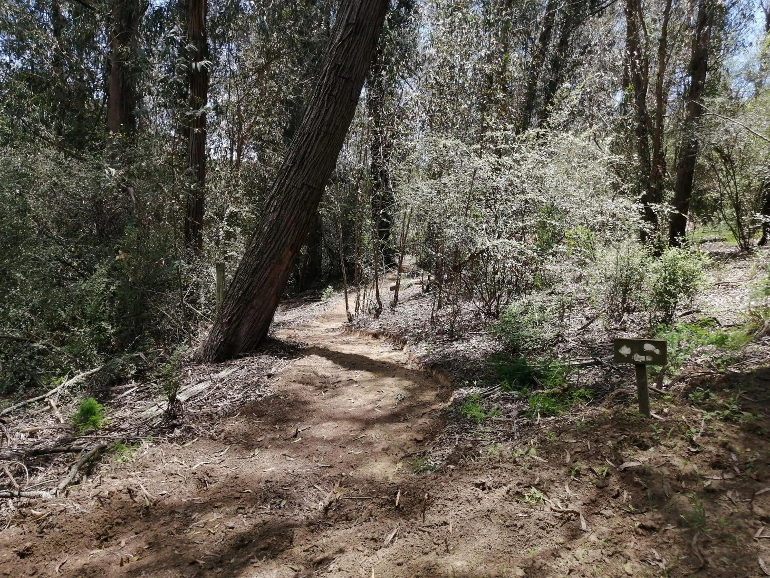 Natural landscape in Waterford Manor
