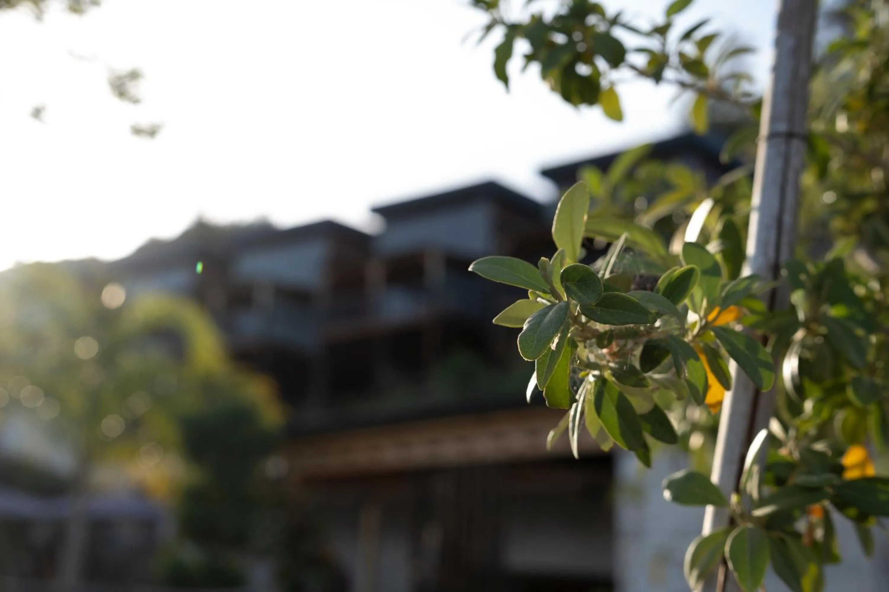 Garden view in La Veranda Villas