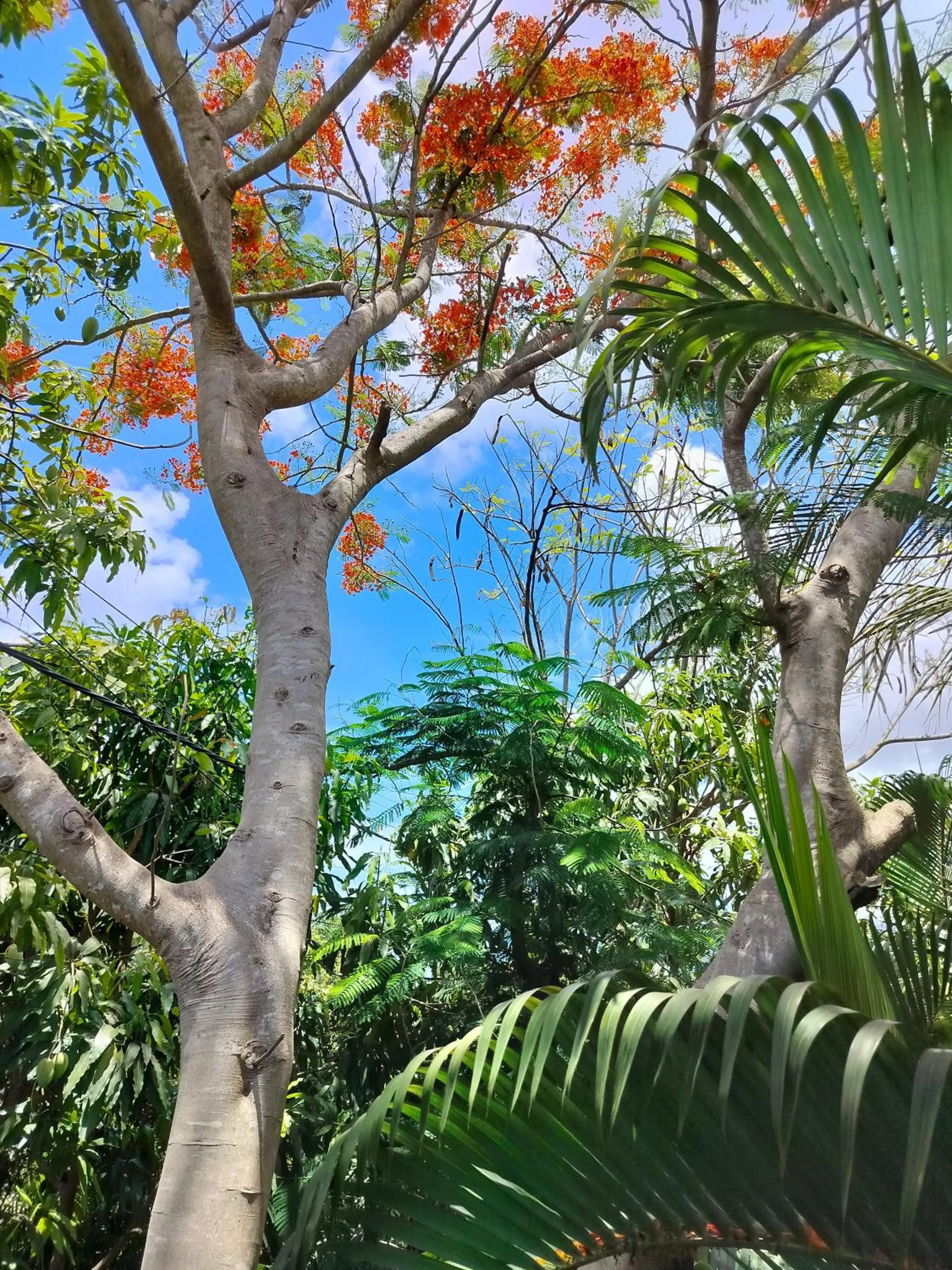 Natural landscape in Bohemiaz Resort and Spa Kampot