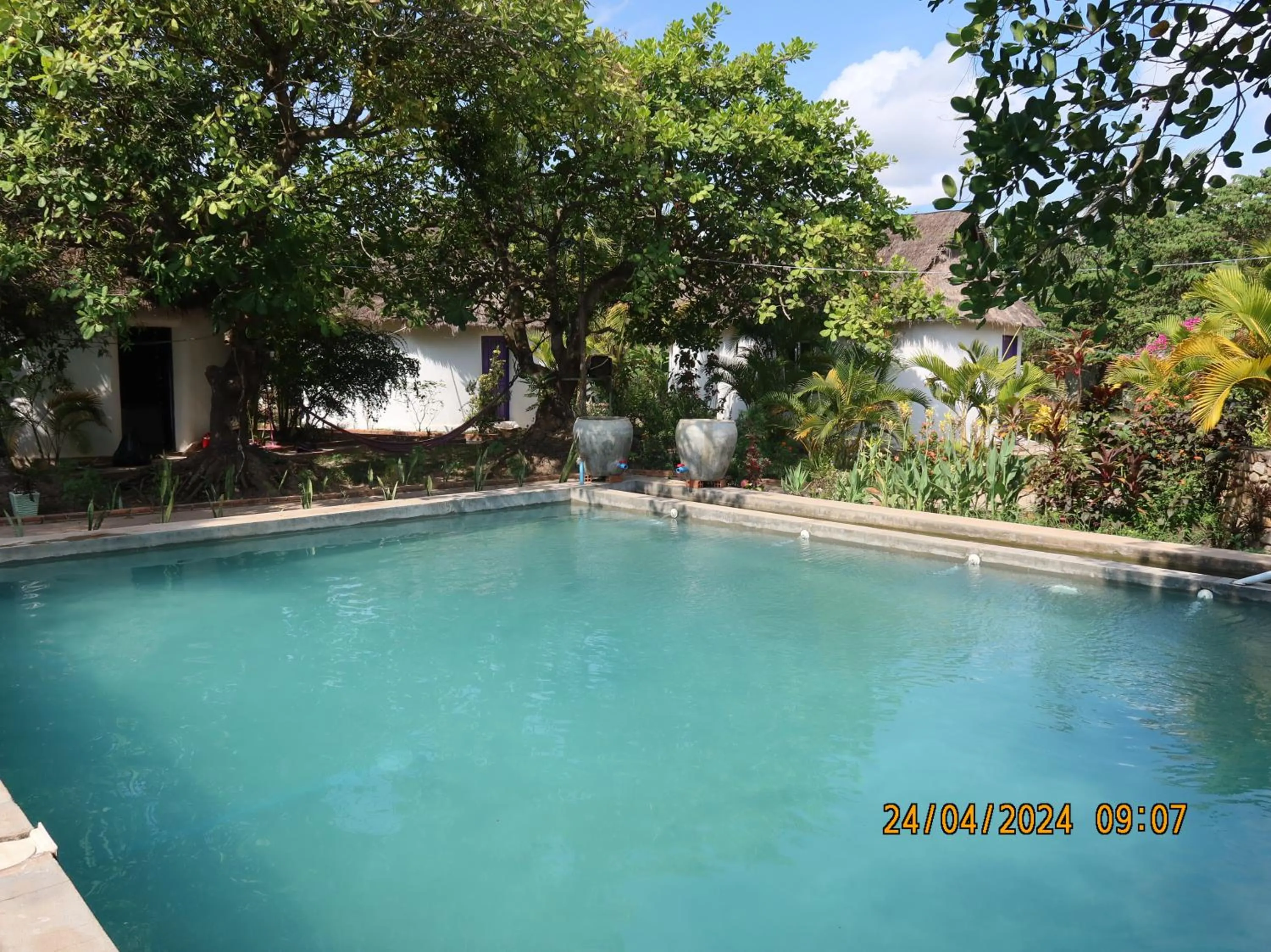 Swimming pool in Bohemiaz Resort and Spa Kampot
