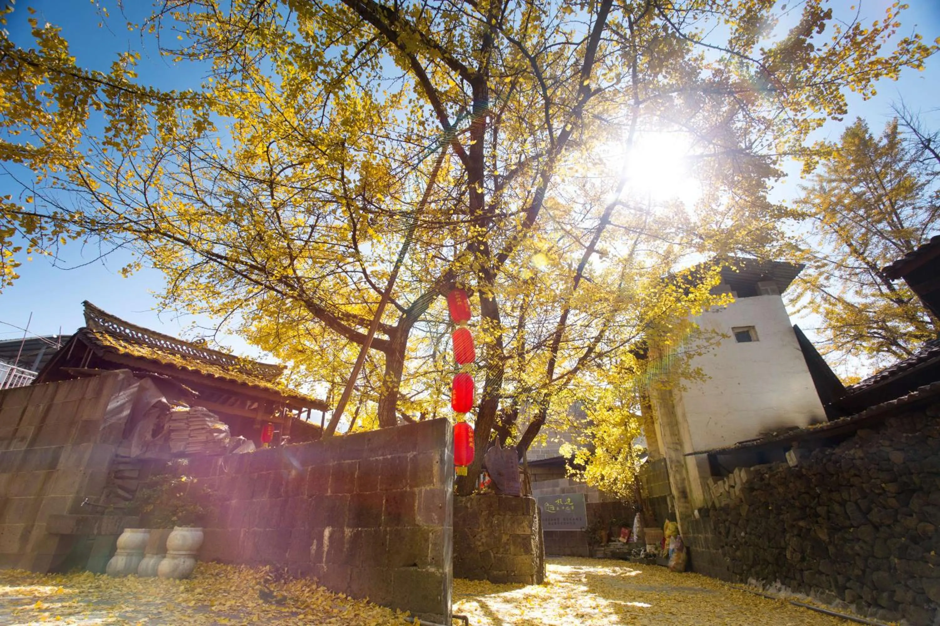 Property building in Banyan Tree Tengchong