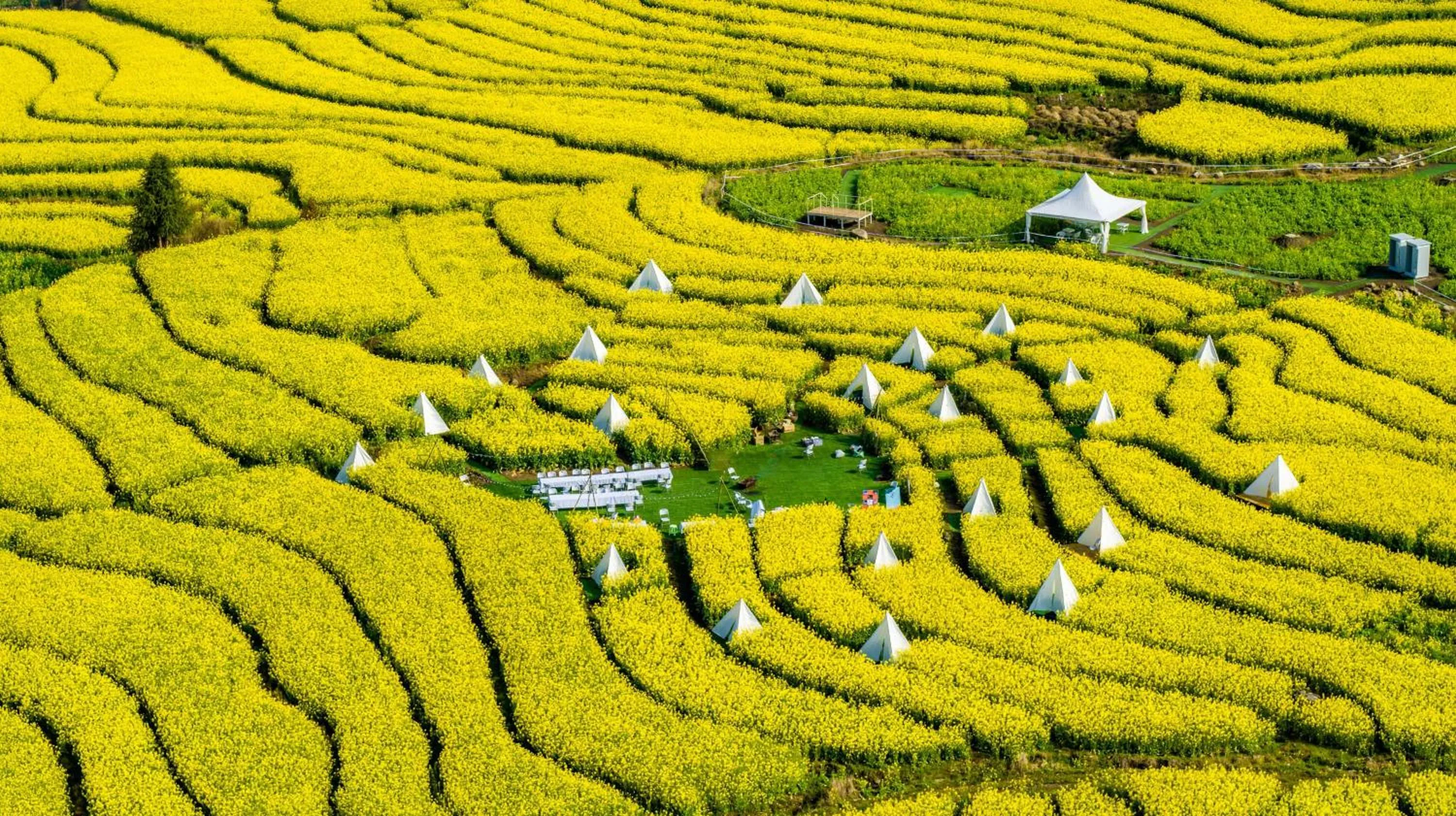 Property building in Banyan Tree Tengchong