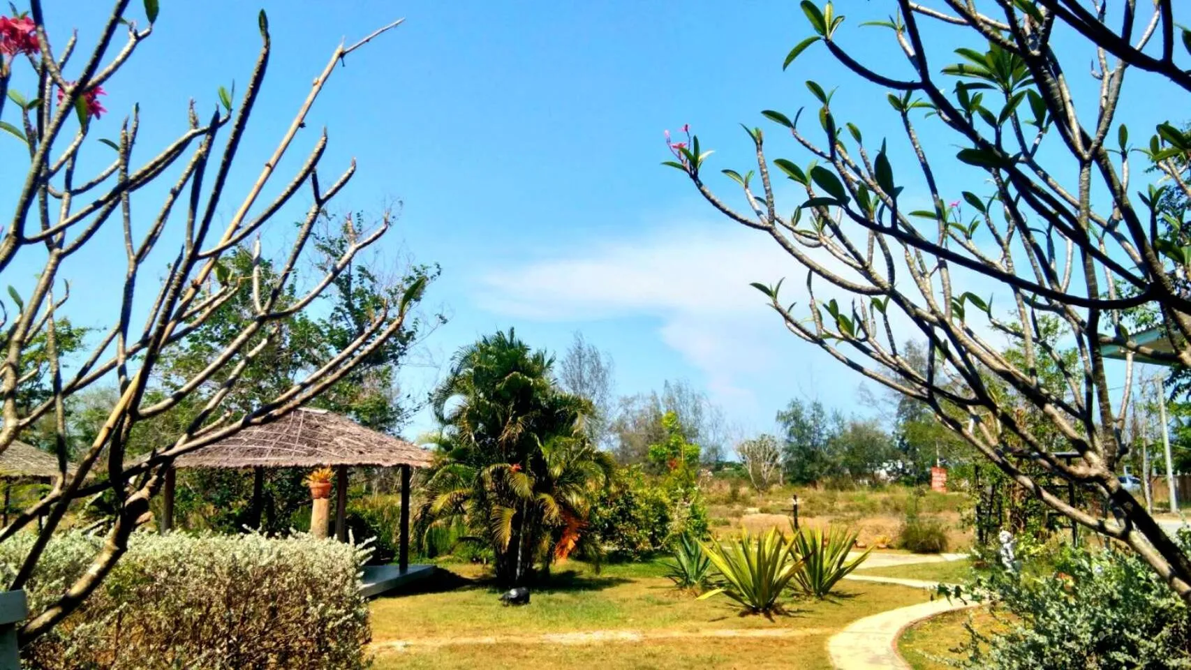 Natural landscape in Ban Bang Home Resort