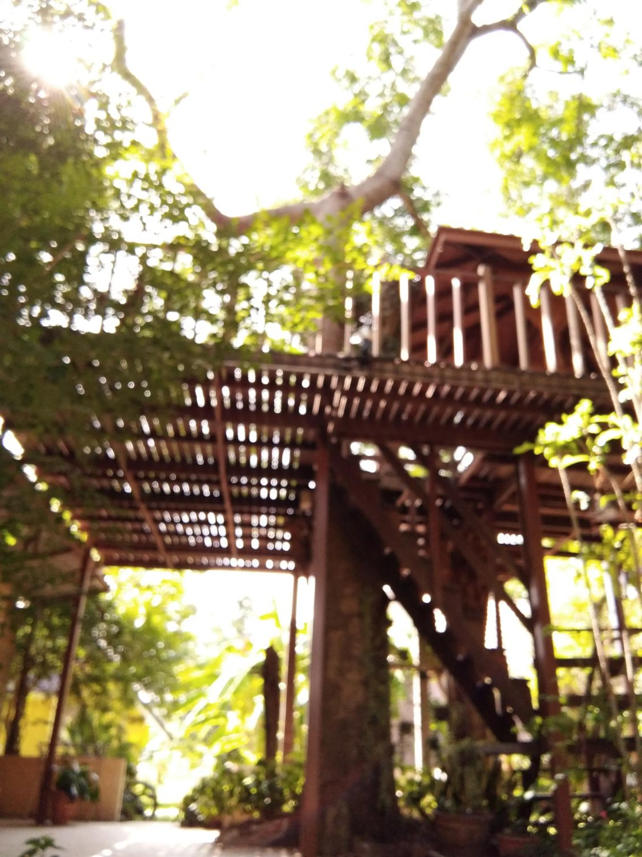 Natural landscape in Ban Bang Home Resort