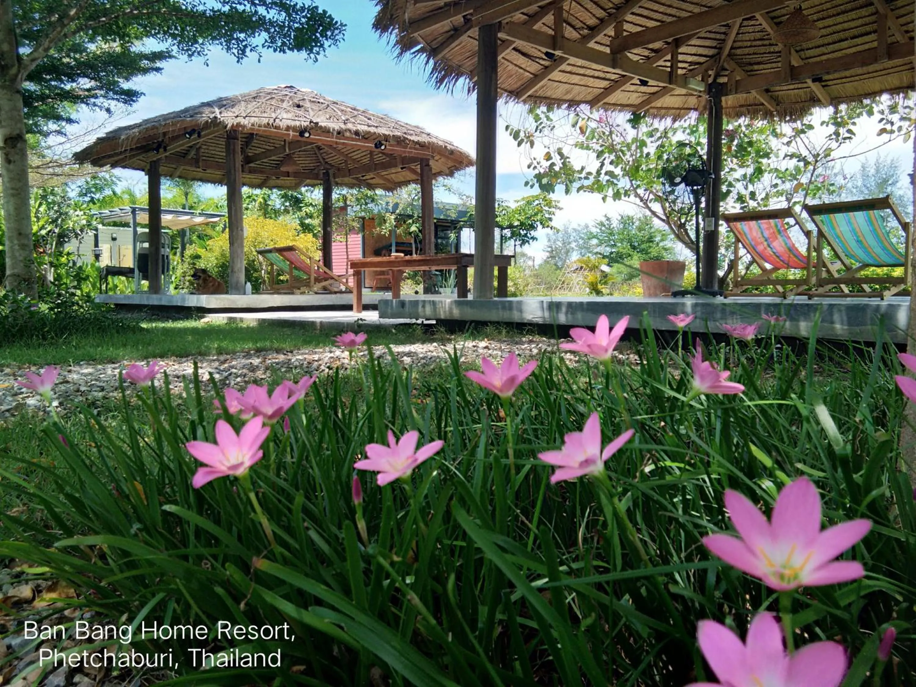 Day in Ban Bang Home Resort