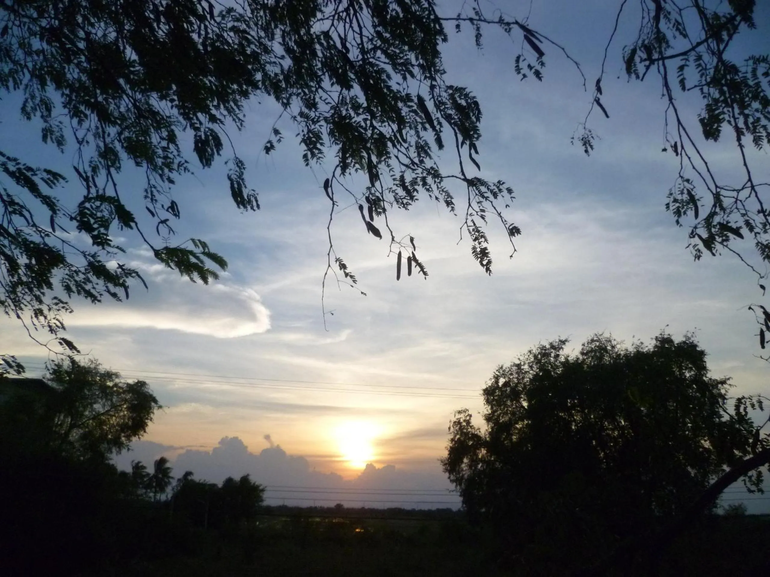 Area and facilities in Ban Bang Home Resort