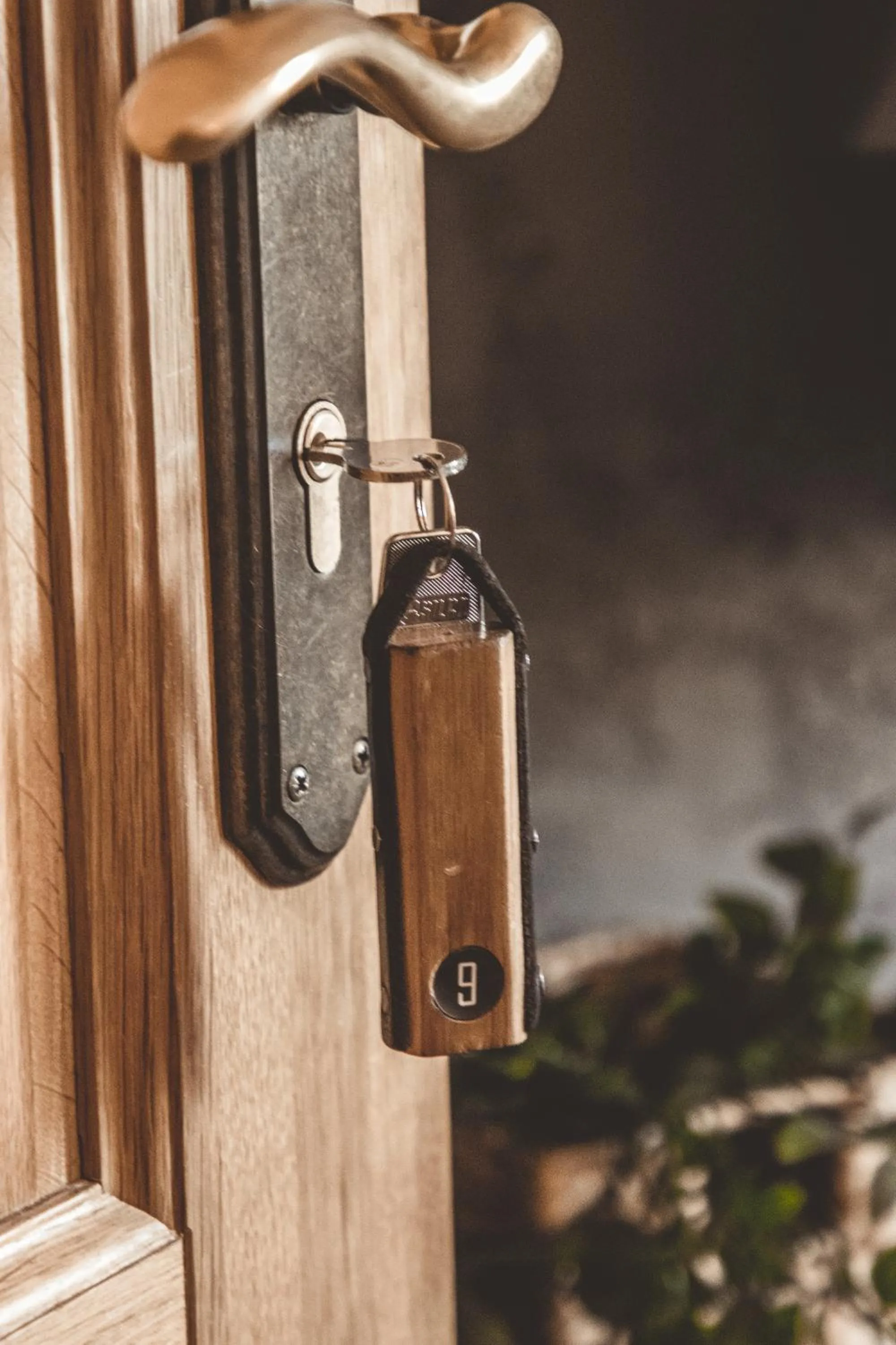 microwave in Vanaga Ligzda