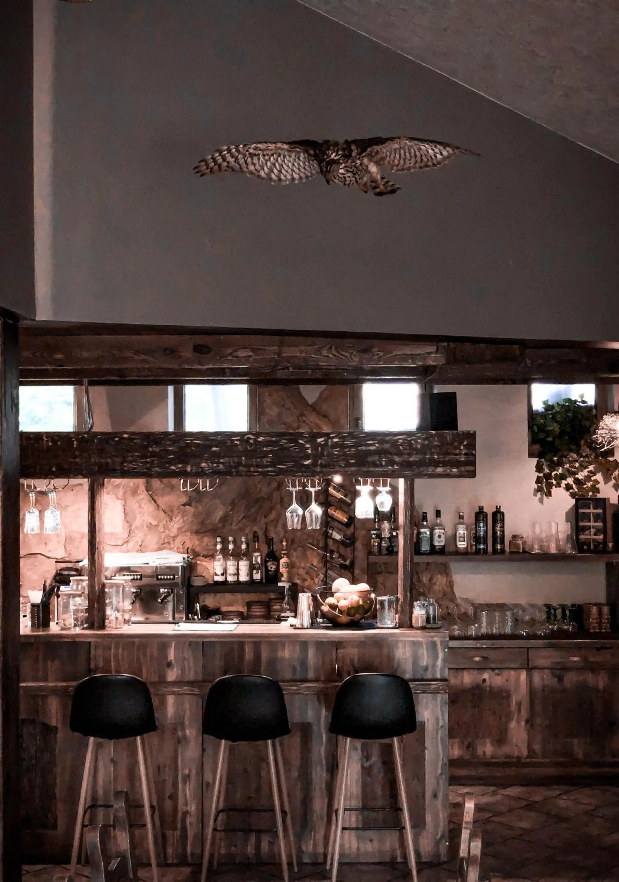 Restaurant/places to eat in Vanaga Ligzda