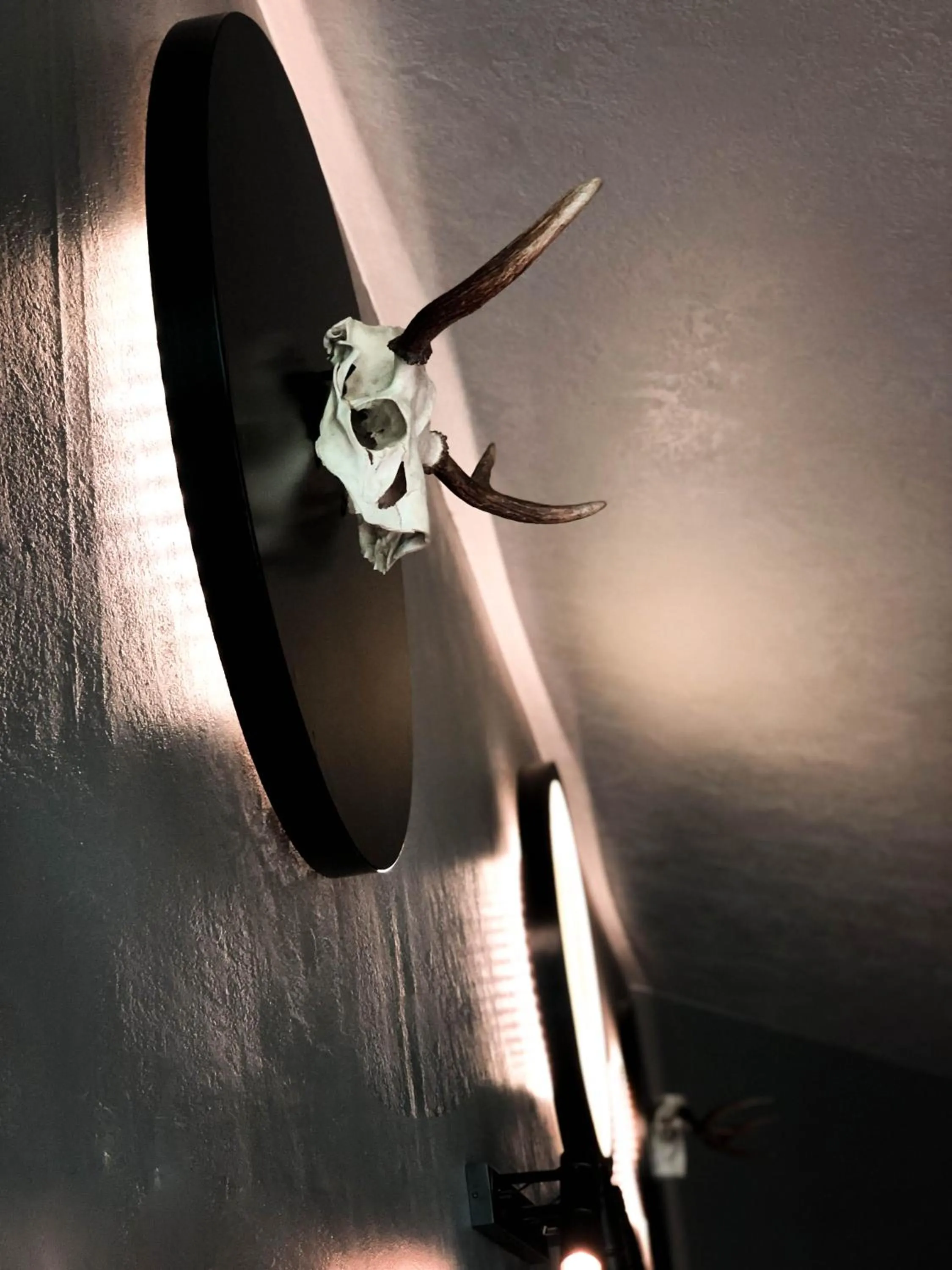 Restaurant/places to eat in Vanaga Ligzda