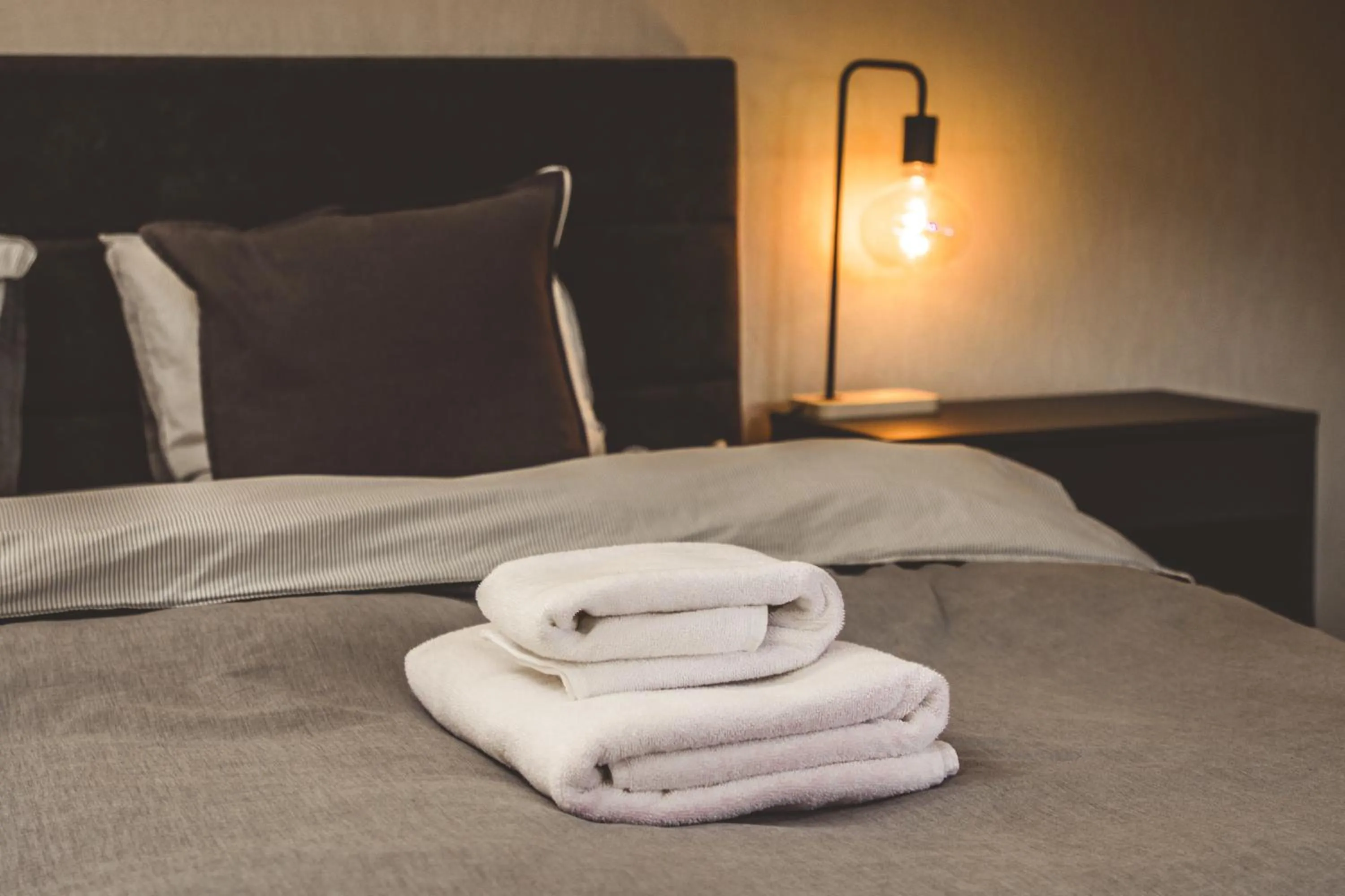 Bed in Vanaga Ligzda