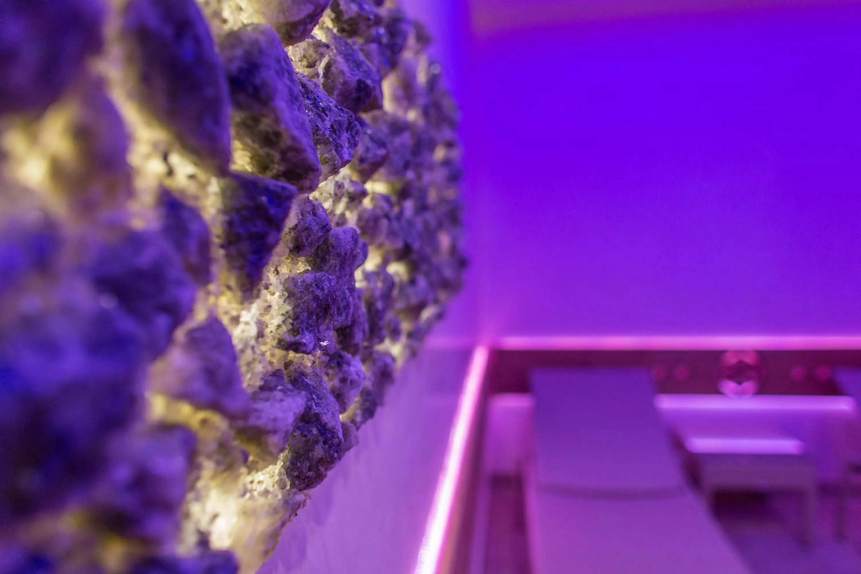 Spa and wellness centre/facilities in Carlina Hotel & SPA