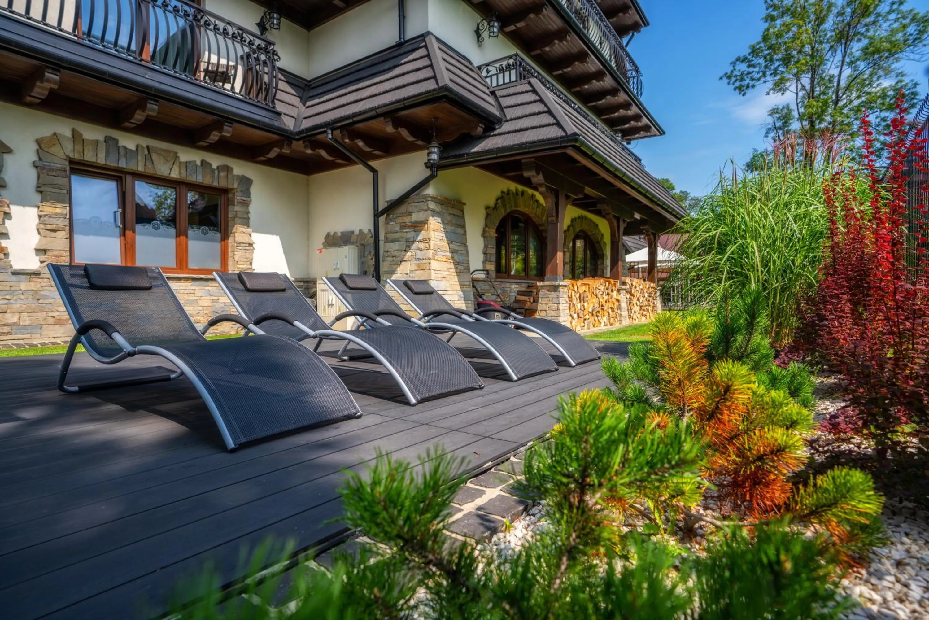 Area and facilities in Carlina Hotel & SPA