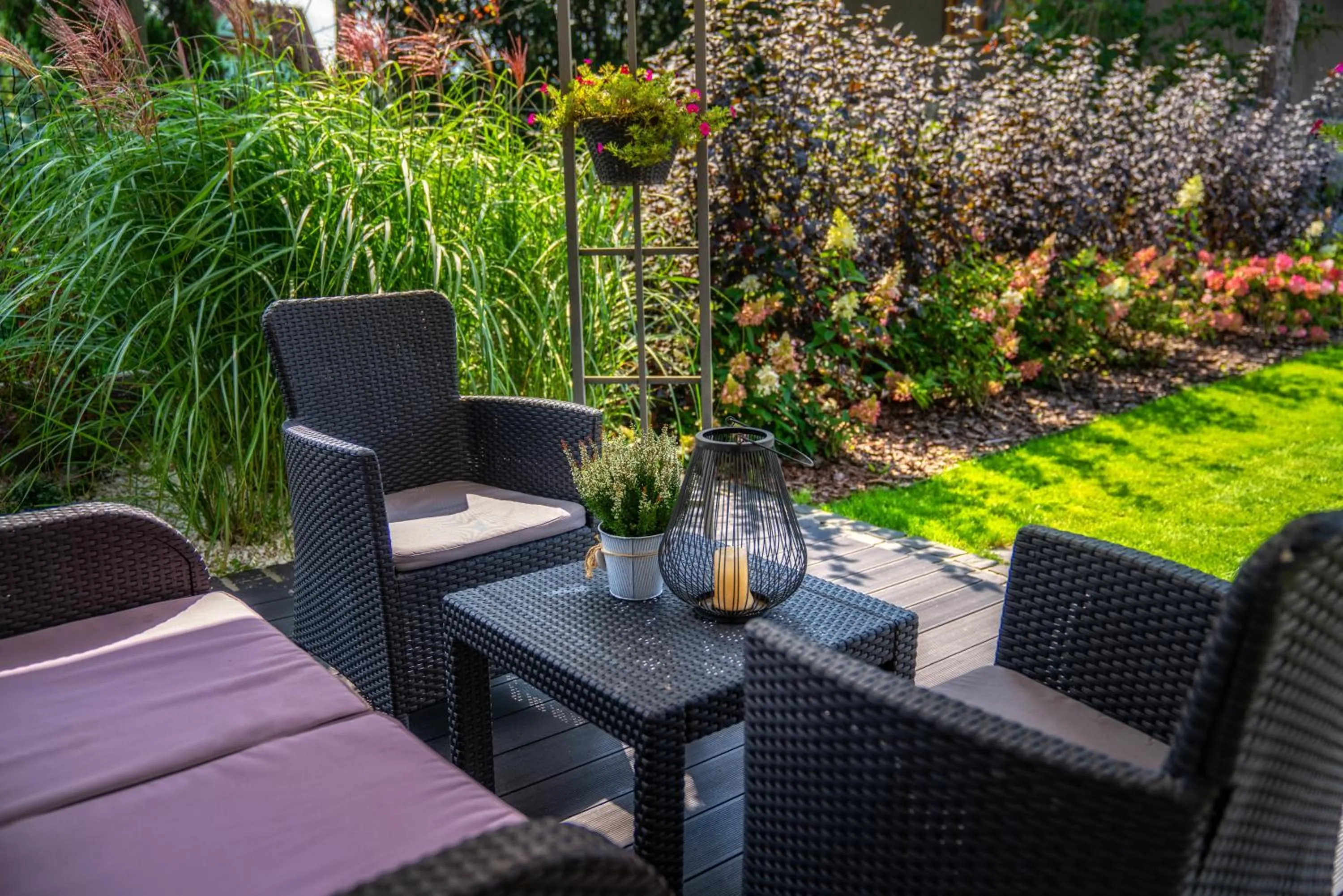 Garden in Carlina Hotel & SPA