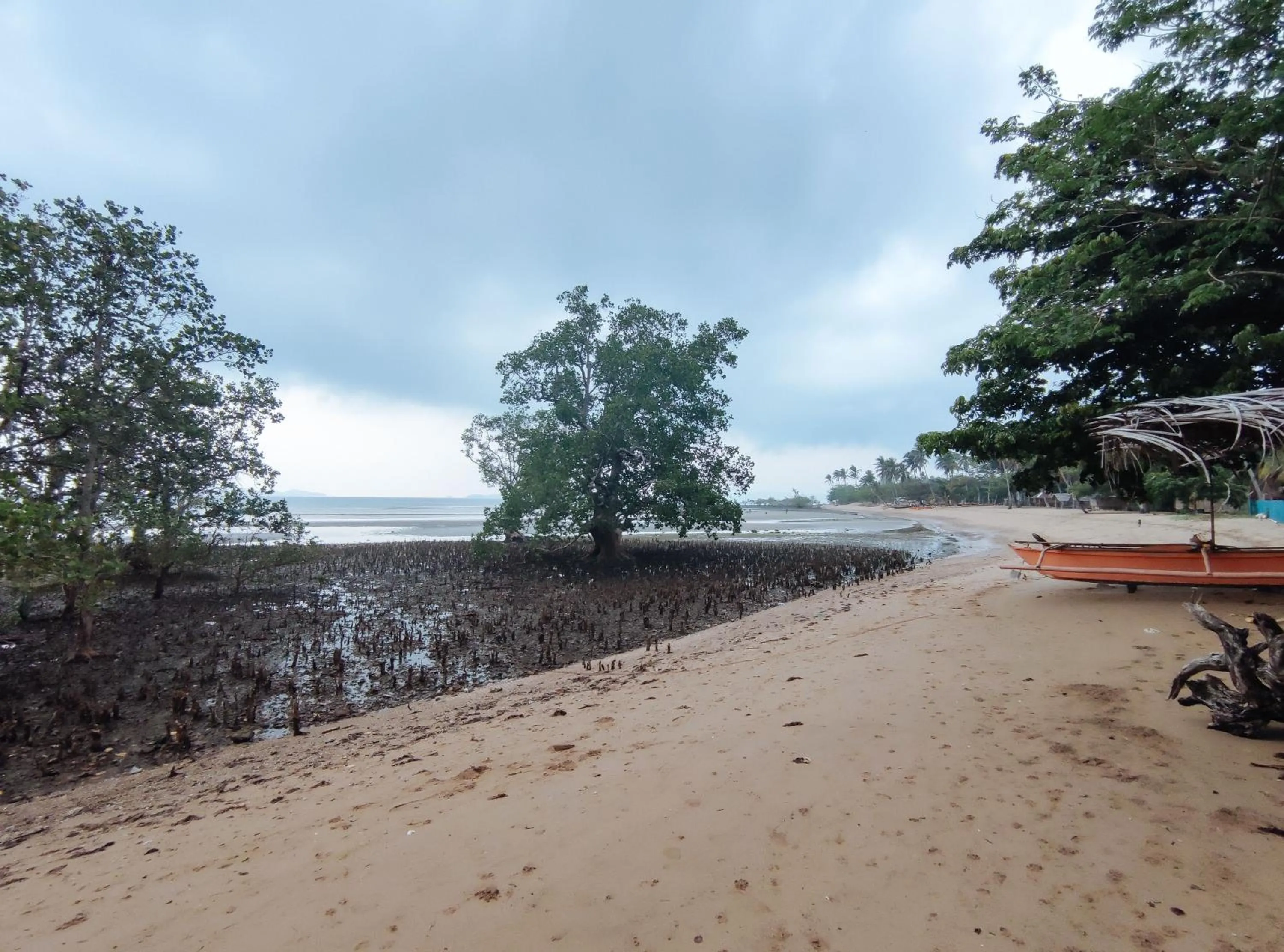 Beach in The Clara Beach and Guest House