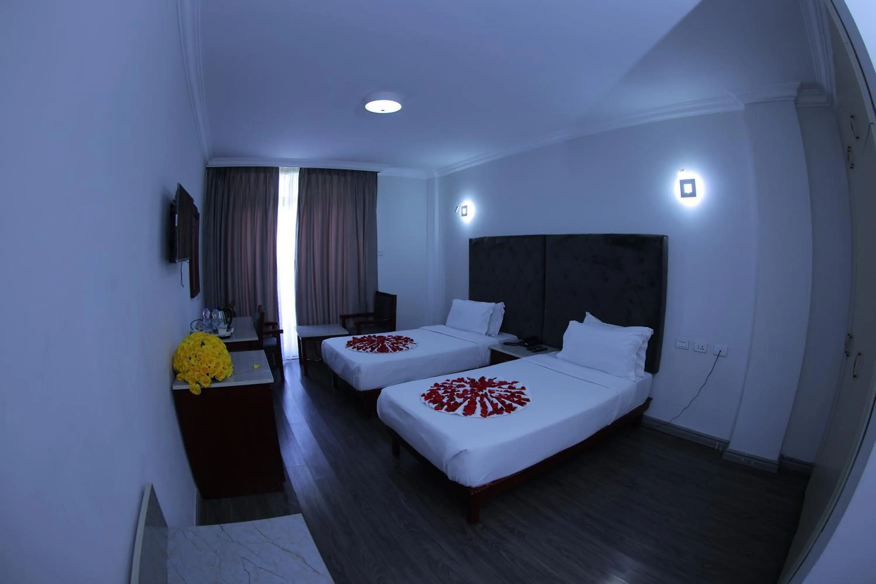 TV and multimedia, Bed in Trinity Hotel