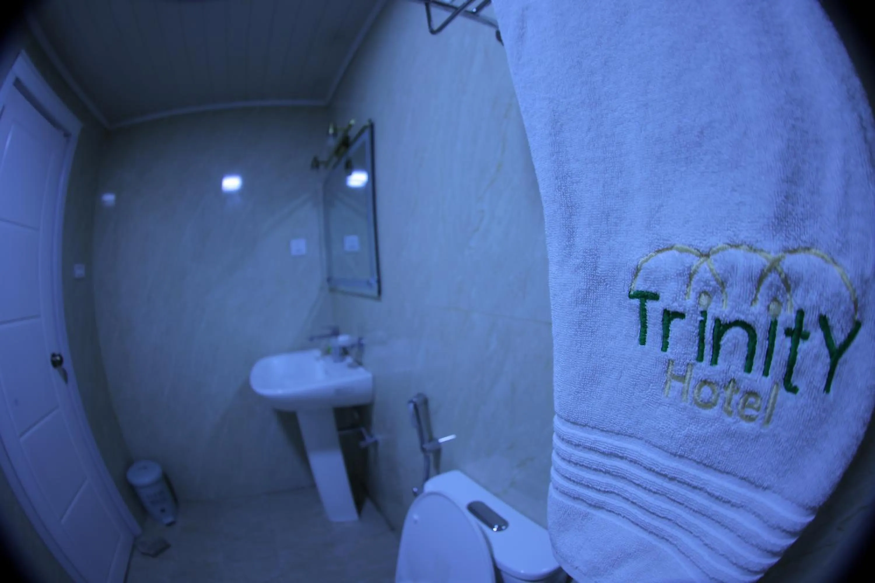 Toilet in Trinity Hotel