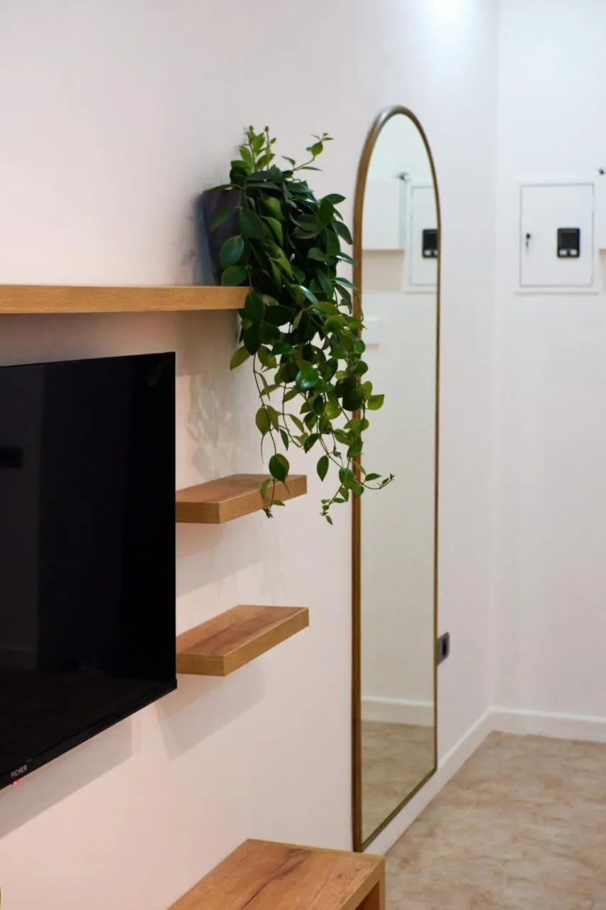 TV and multimedia in R Studios Old Baku