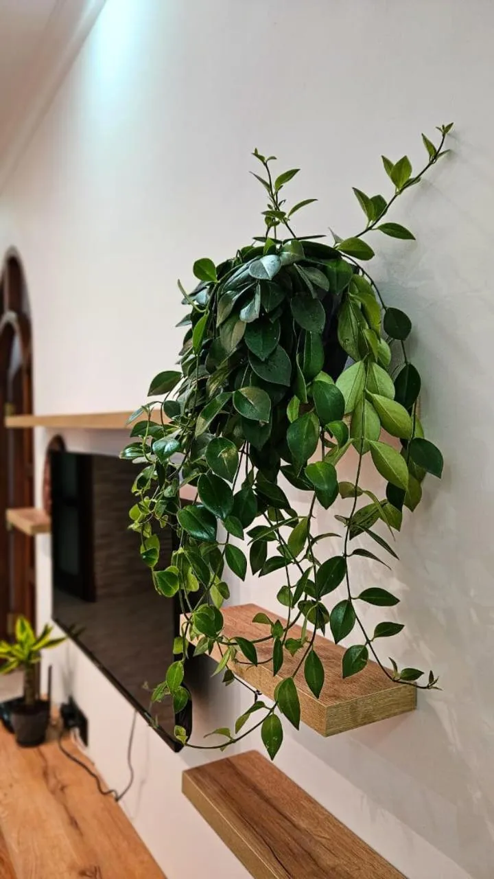 Decorative detail in R Studios Old Baku