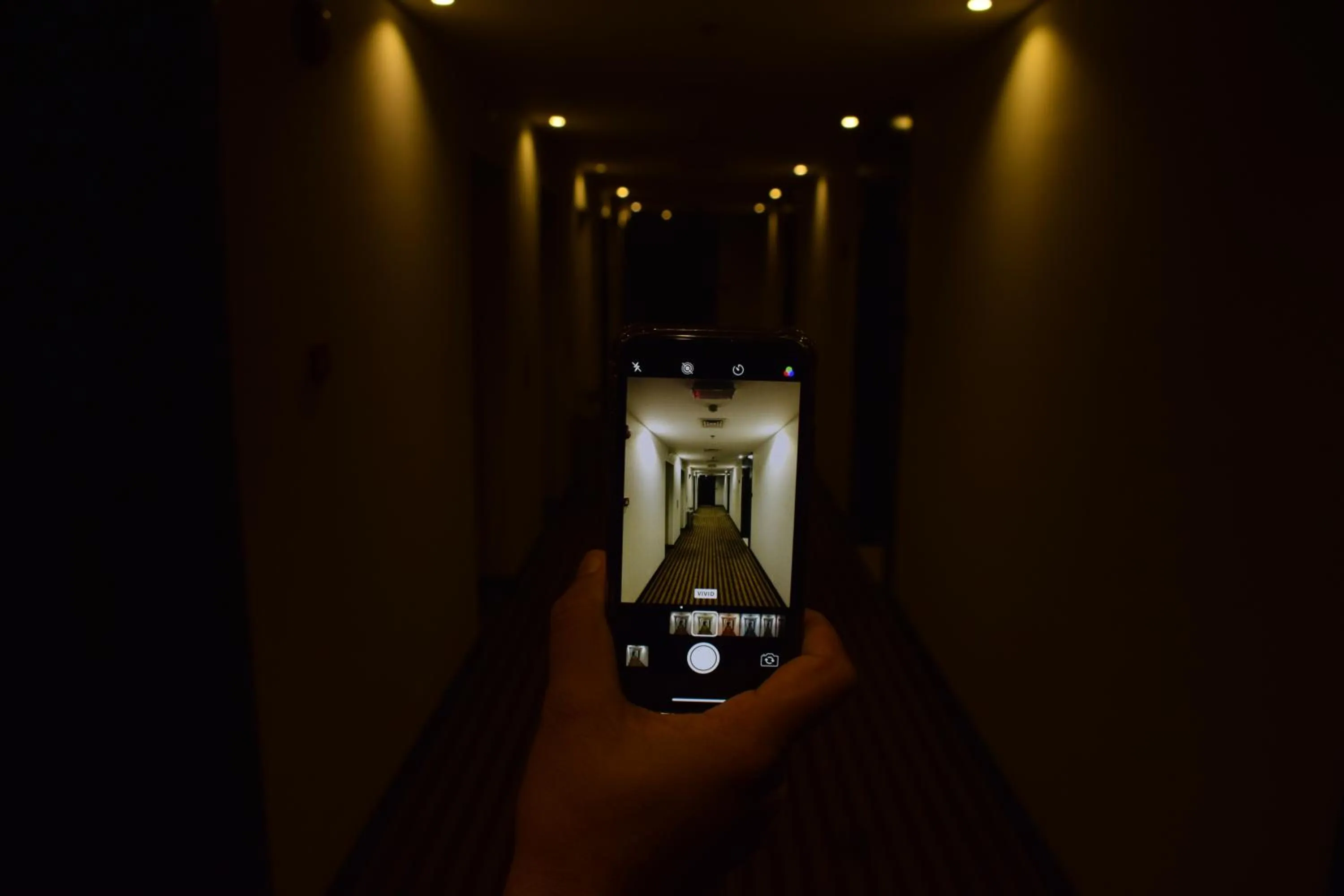 Area and facilities in Aldar Hotel