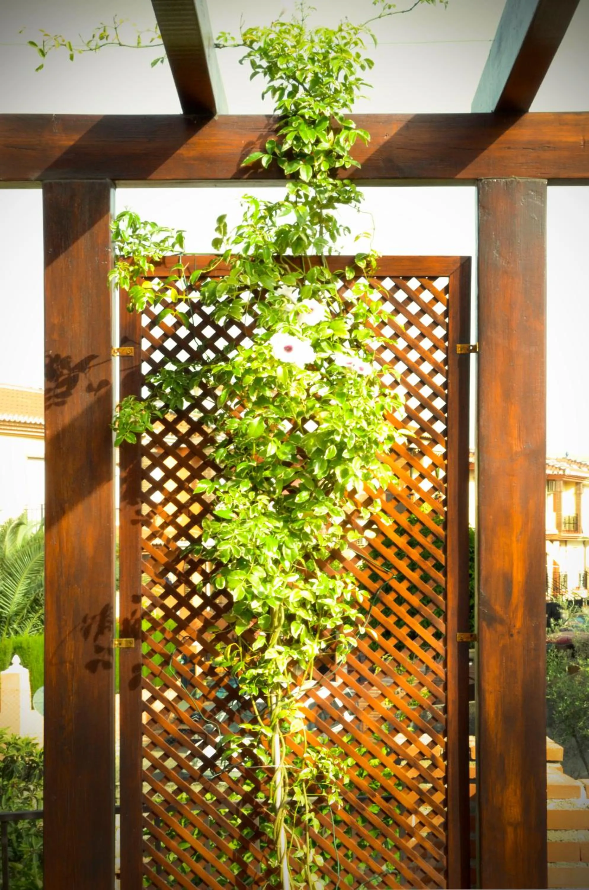 Balcony/Terrace in Apartamentos Turísticos Cúllar Vega