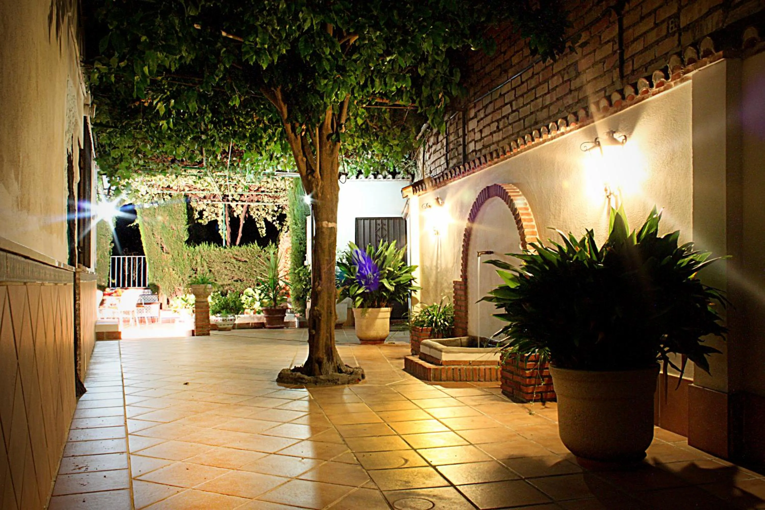 Garden in Apartamentos Turísticos Cúllar Vega