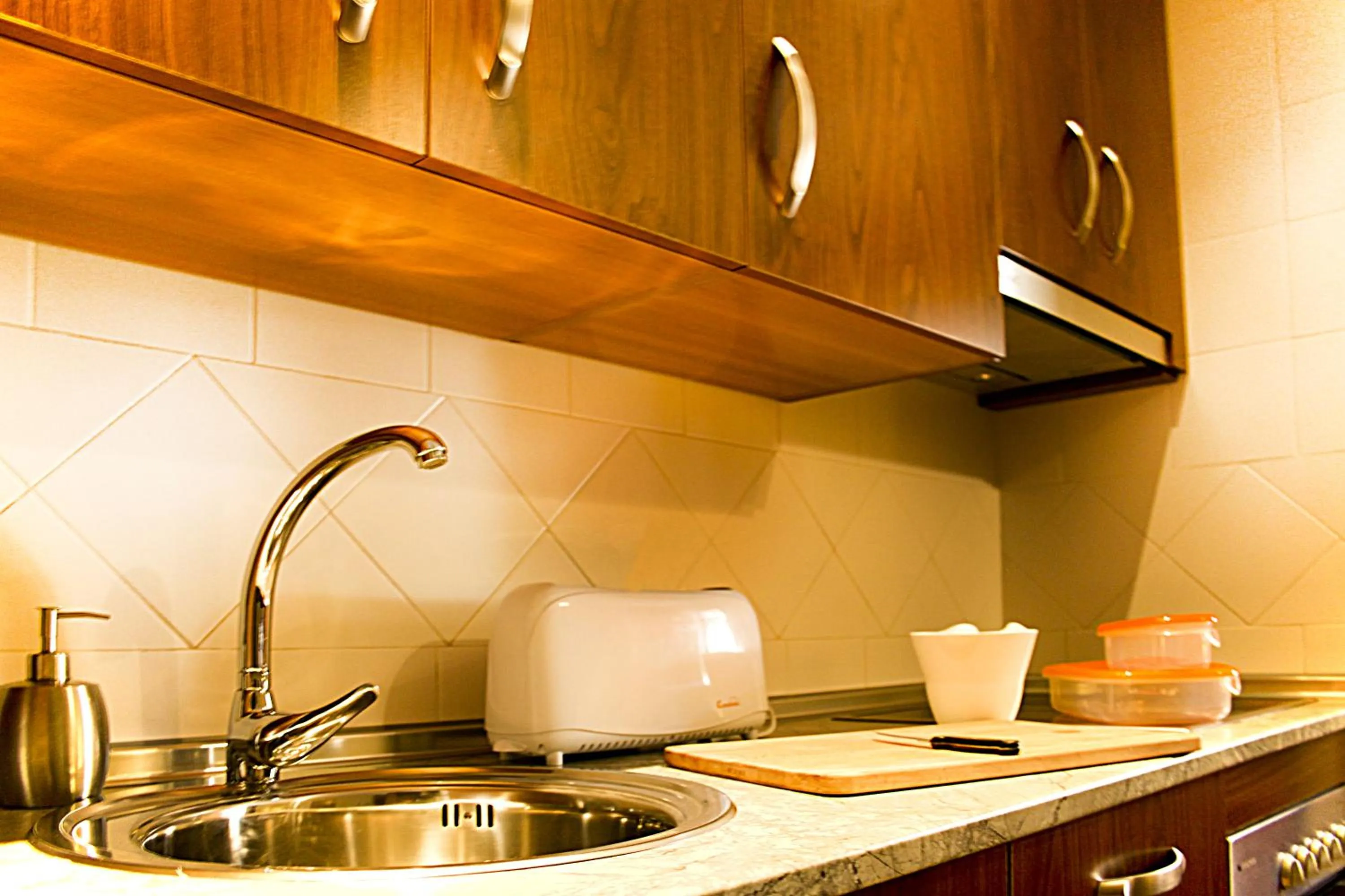 Kitchen or kitchenette in Apartamentos Turísticos Cúllar Vega