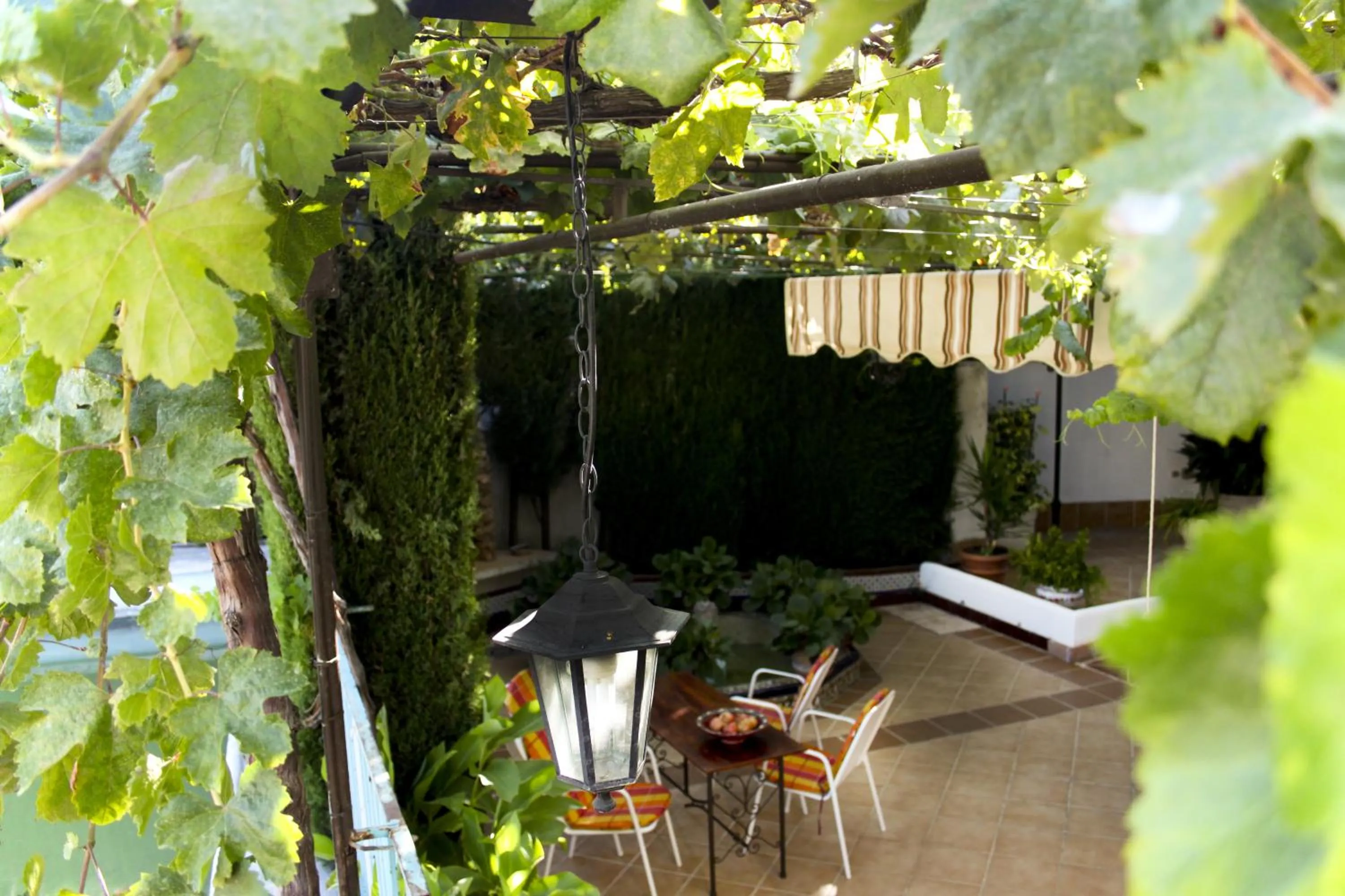 Balcony/Terrace in Apartamentos Turísticos Cúllar Vega