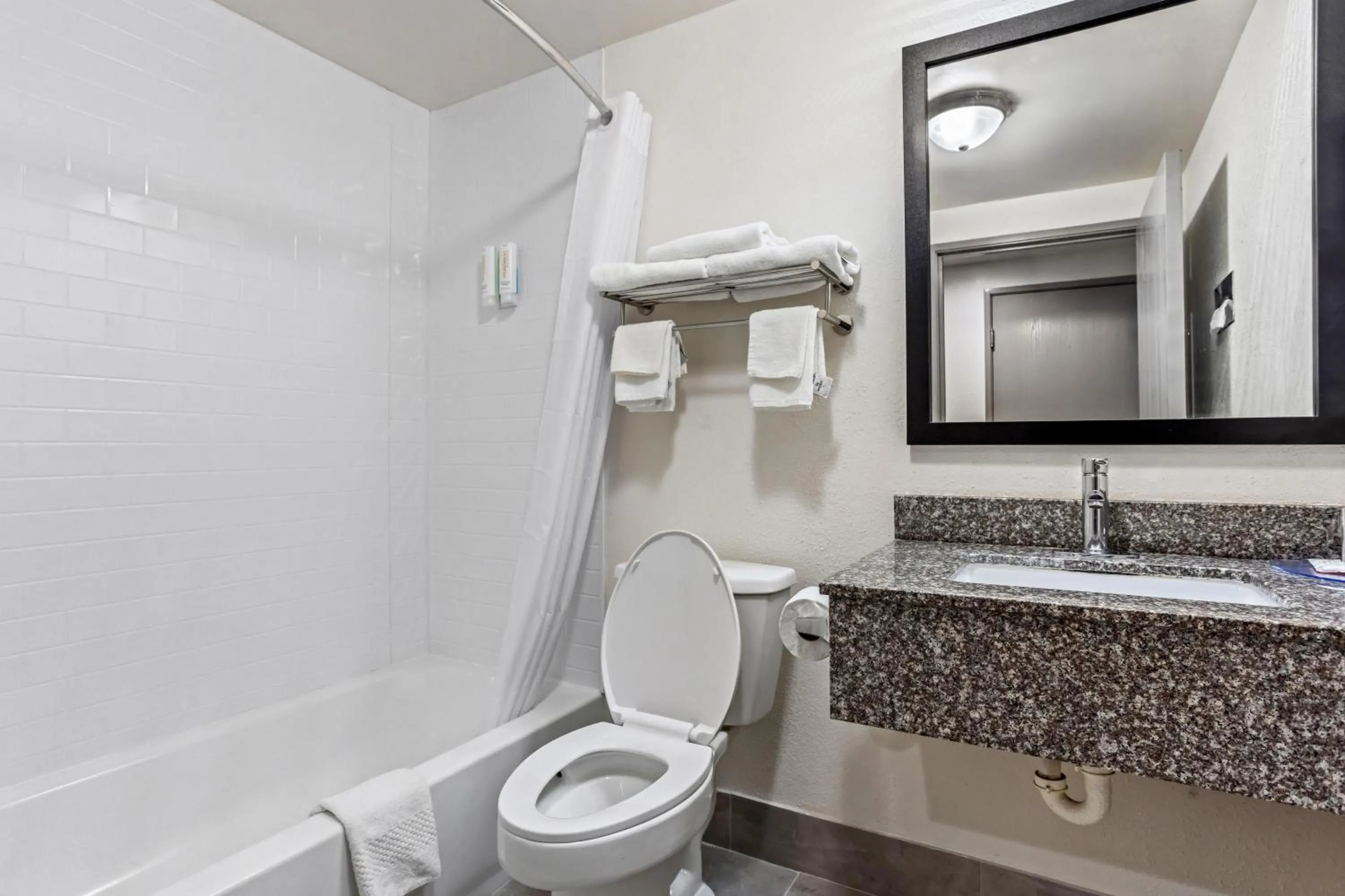 Toilet in Econo Lodge