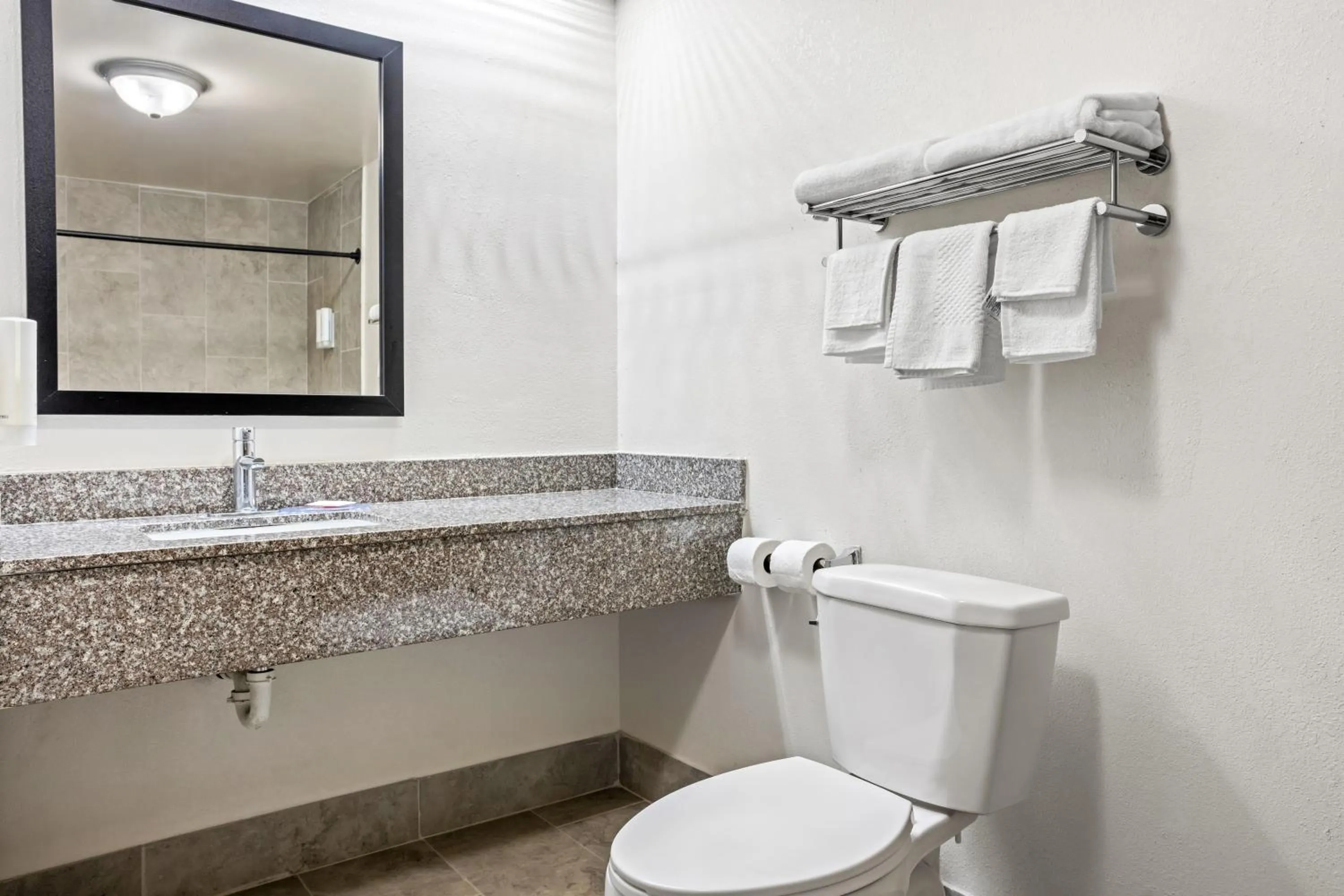 Toilet in Econo Lodge