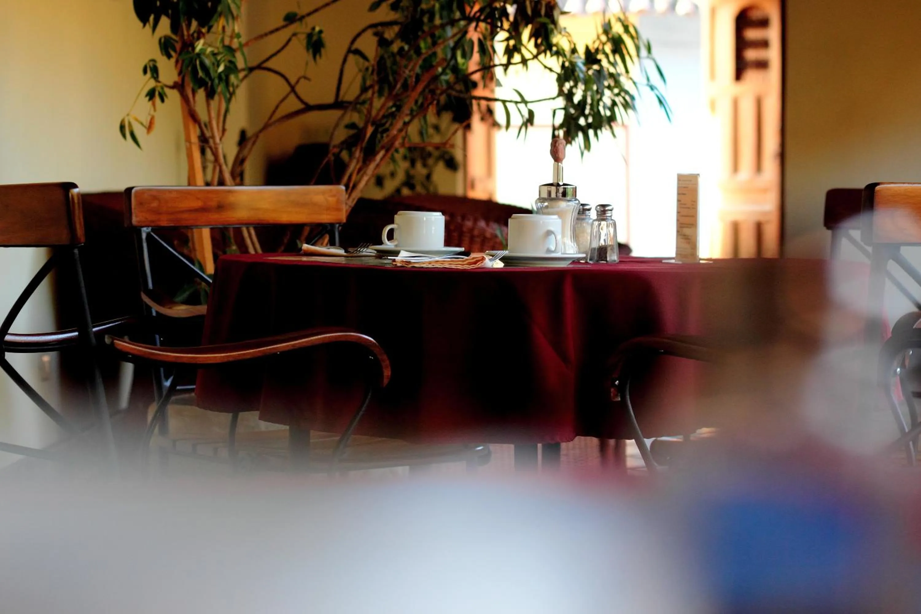 Food in Hotel Patio del Malinche