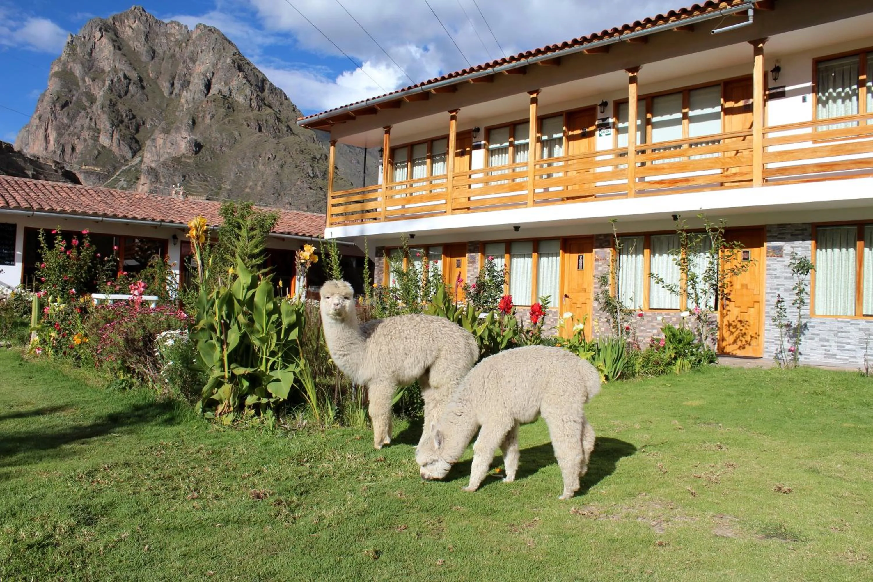 Pets in Hotel Tierra Inka Sacred Valley