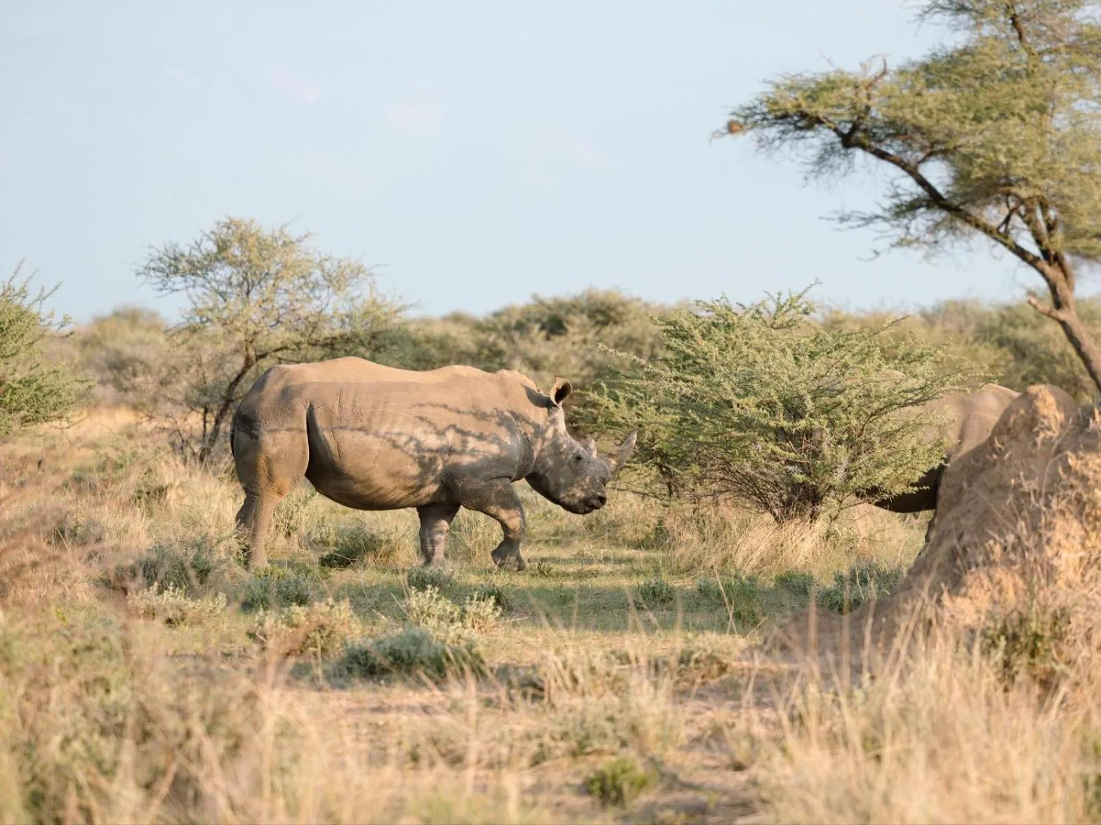 Natural landscape in Otjiwa Mountain Lodge
