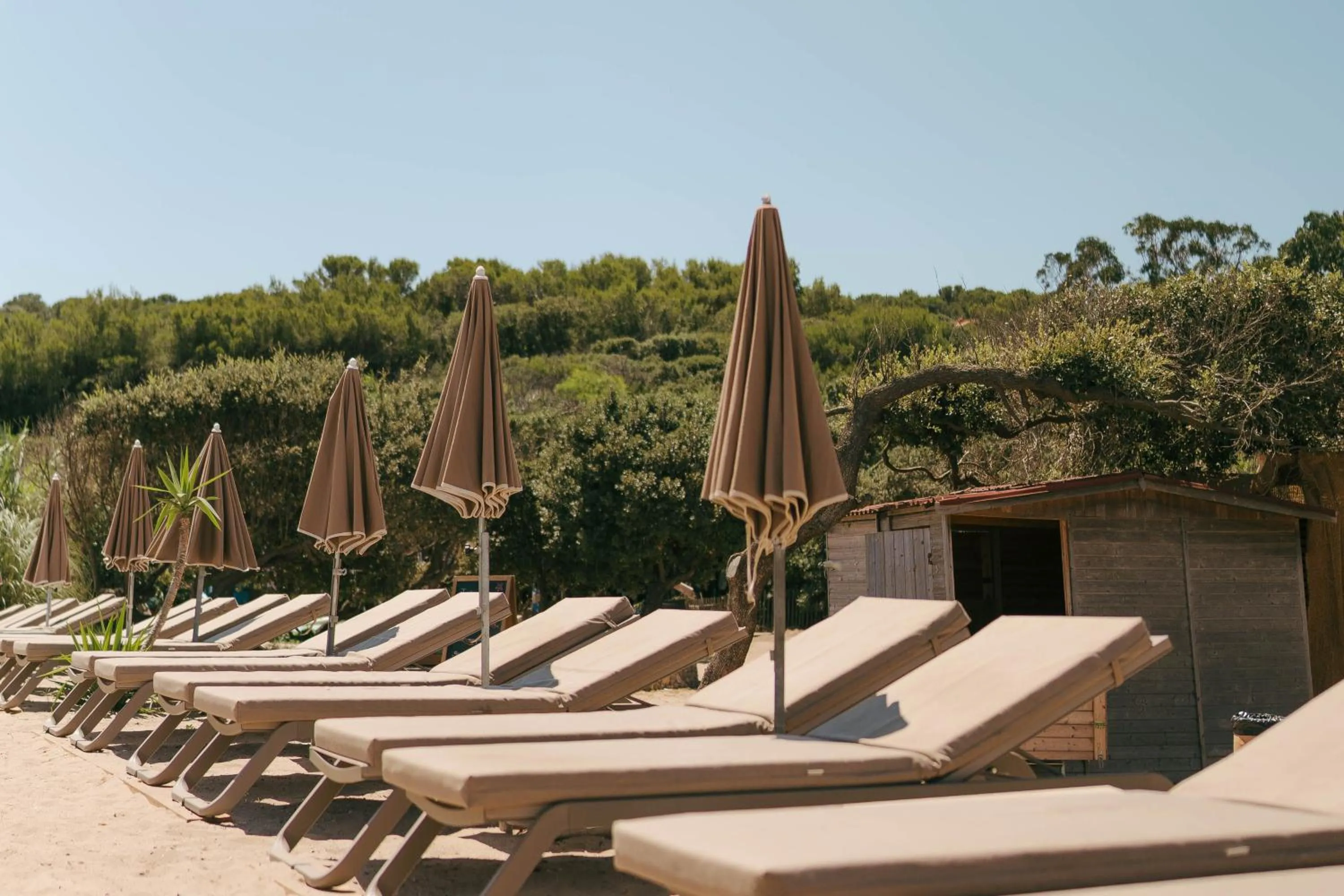 Beach in Le Domaine de la mer - Beach hotel Nature&Authenticité Hyères