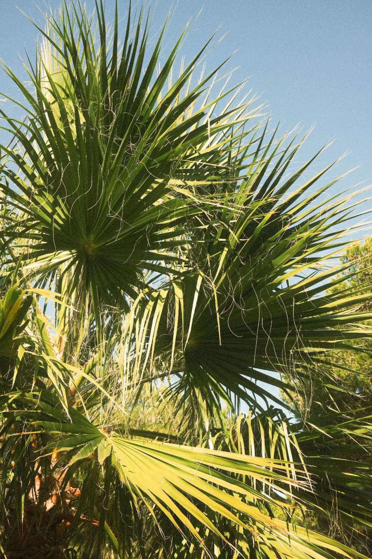 Natural landscape in Le Domaine de la mer - Beach hotel Nature&Authenticité Hyères