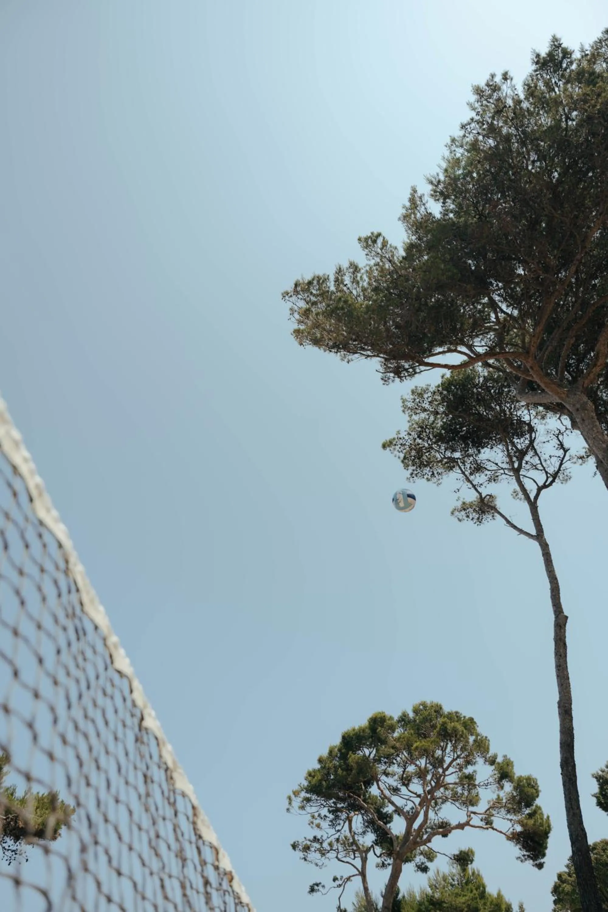 Activities in Le Domaine de la mer - Beach hotel Nature&Authenticité Hyères