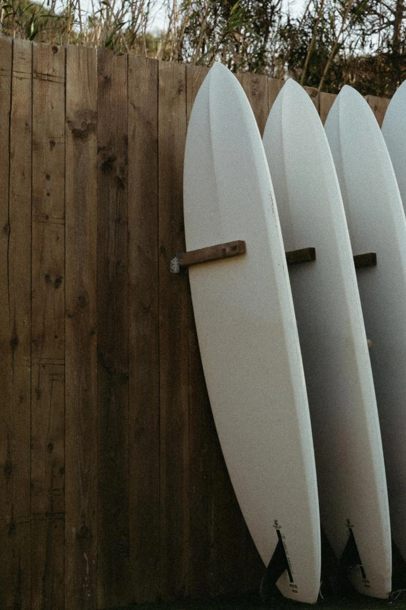 Activities in Le Domaine de la mer - Beach hotel Nature&Authenticité Hyères