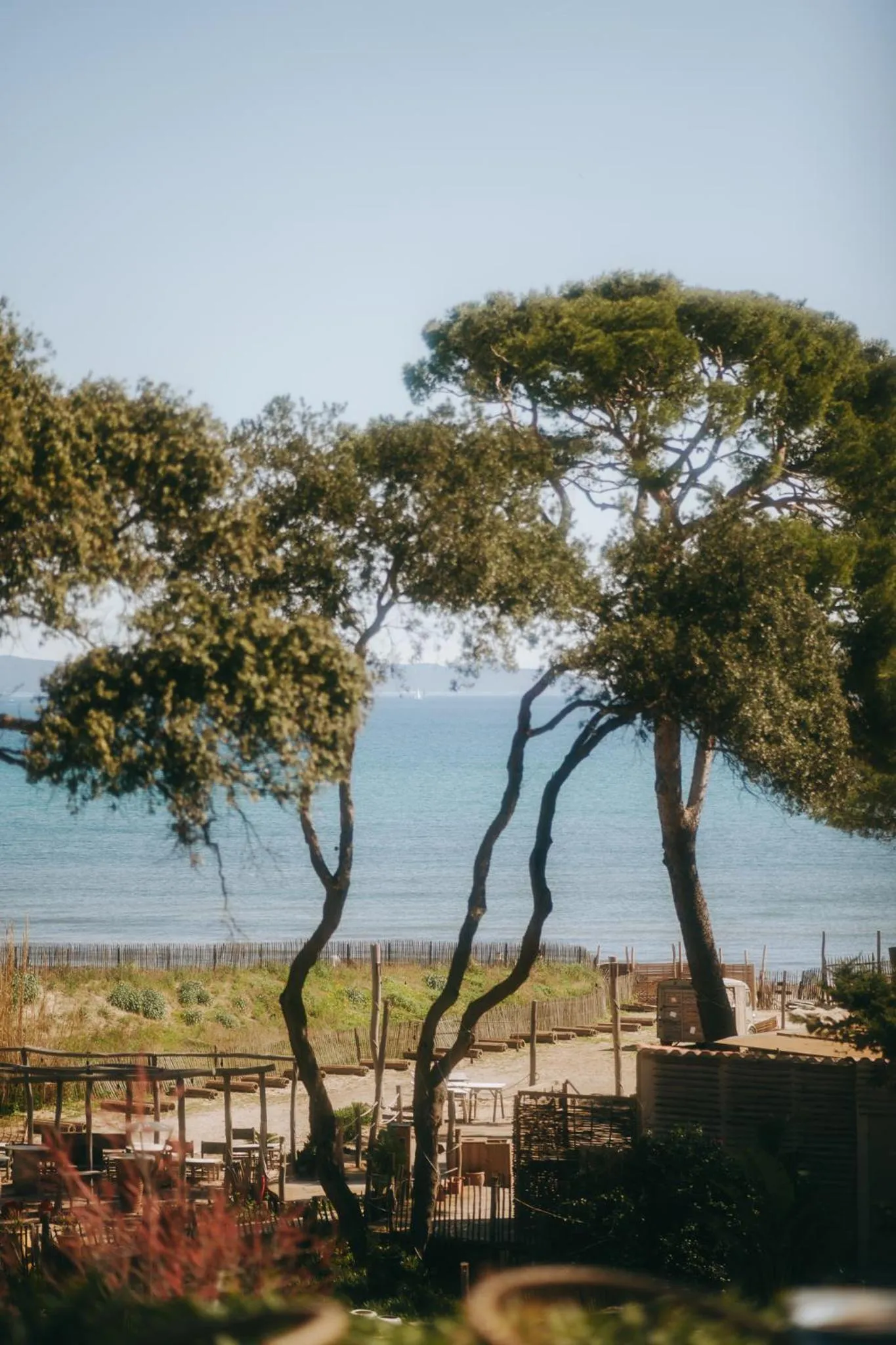 Natural landscape in Le Domaine de la mer - Beach hotel Nature&Authenticité Hyères