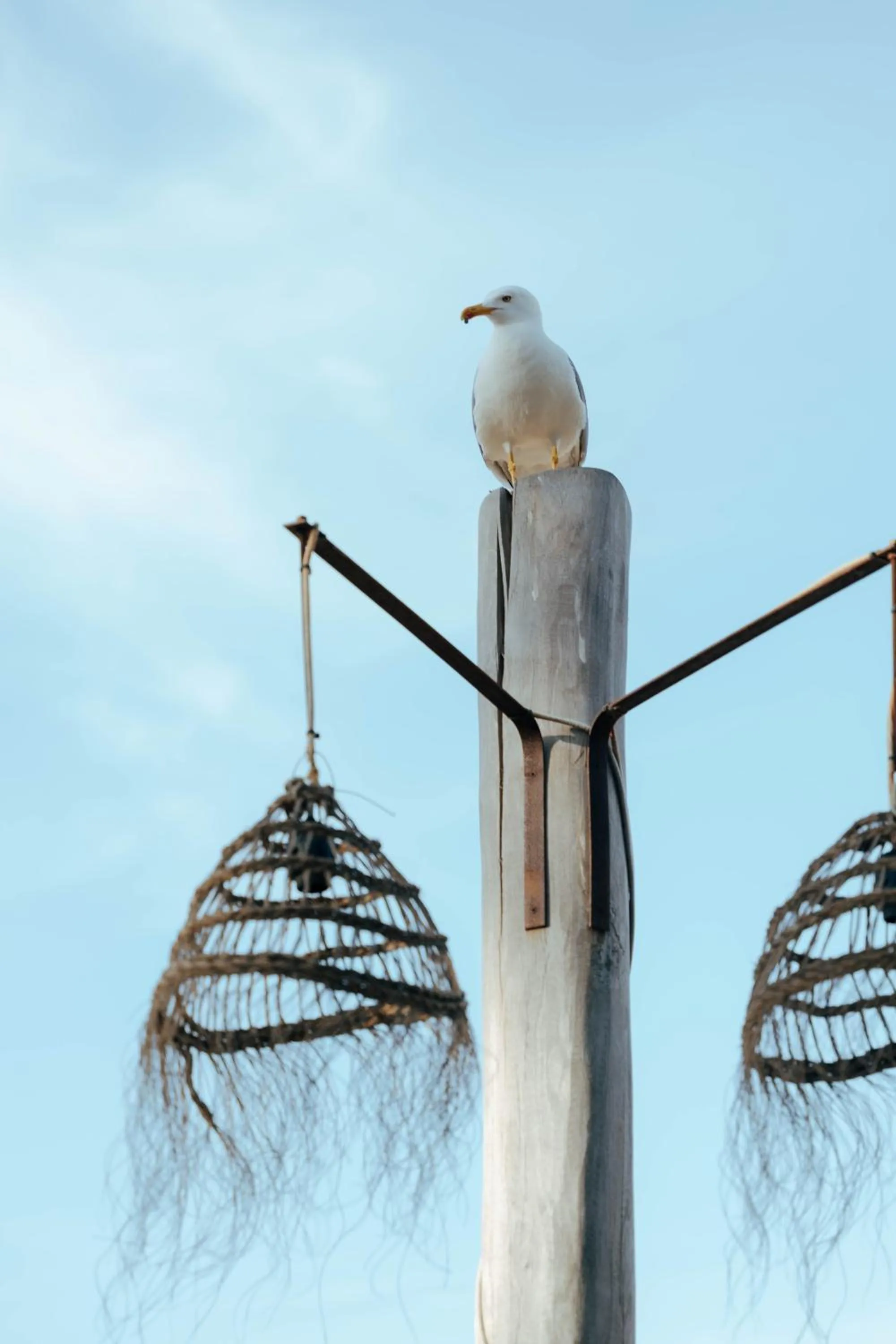 Le Domaine de la mer - Beach hotel Nature&Authenticité Hyères