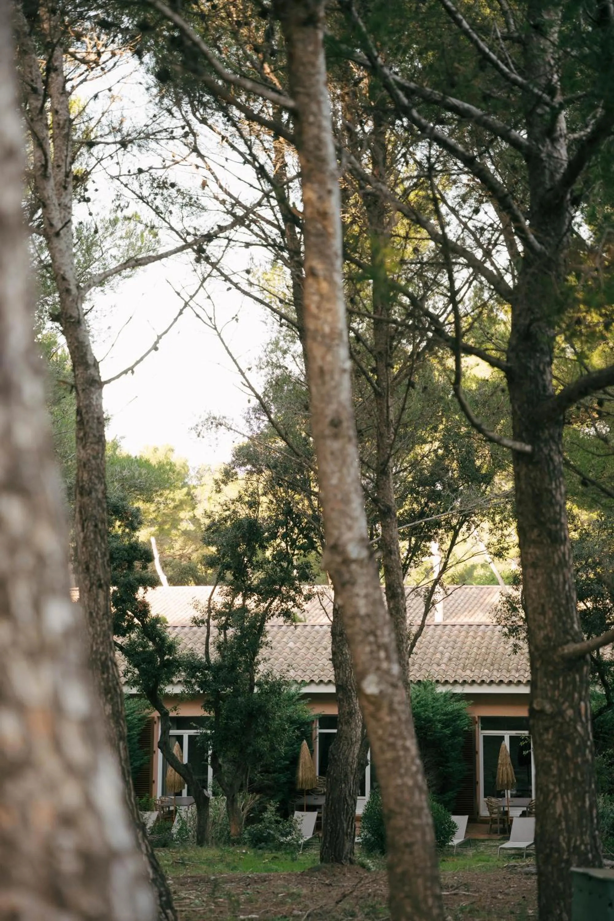 Natural landscape in Le Domaine de la mer - Beach hotel Nature&Authenticité Hyères